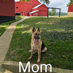 mom
