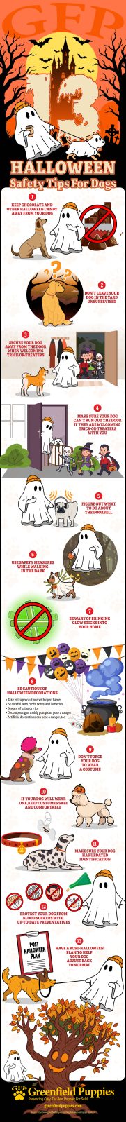 Halloween-Safety-Tips-For-Dogs-Infographic-by-Greenfield-Puppies