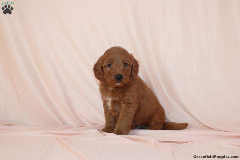 Wilbur