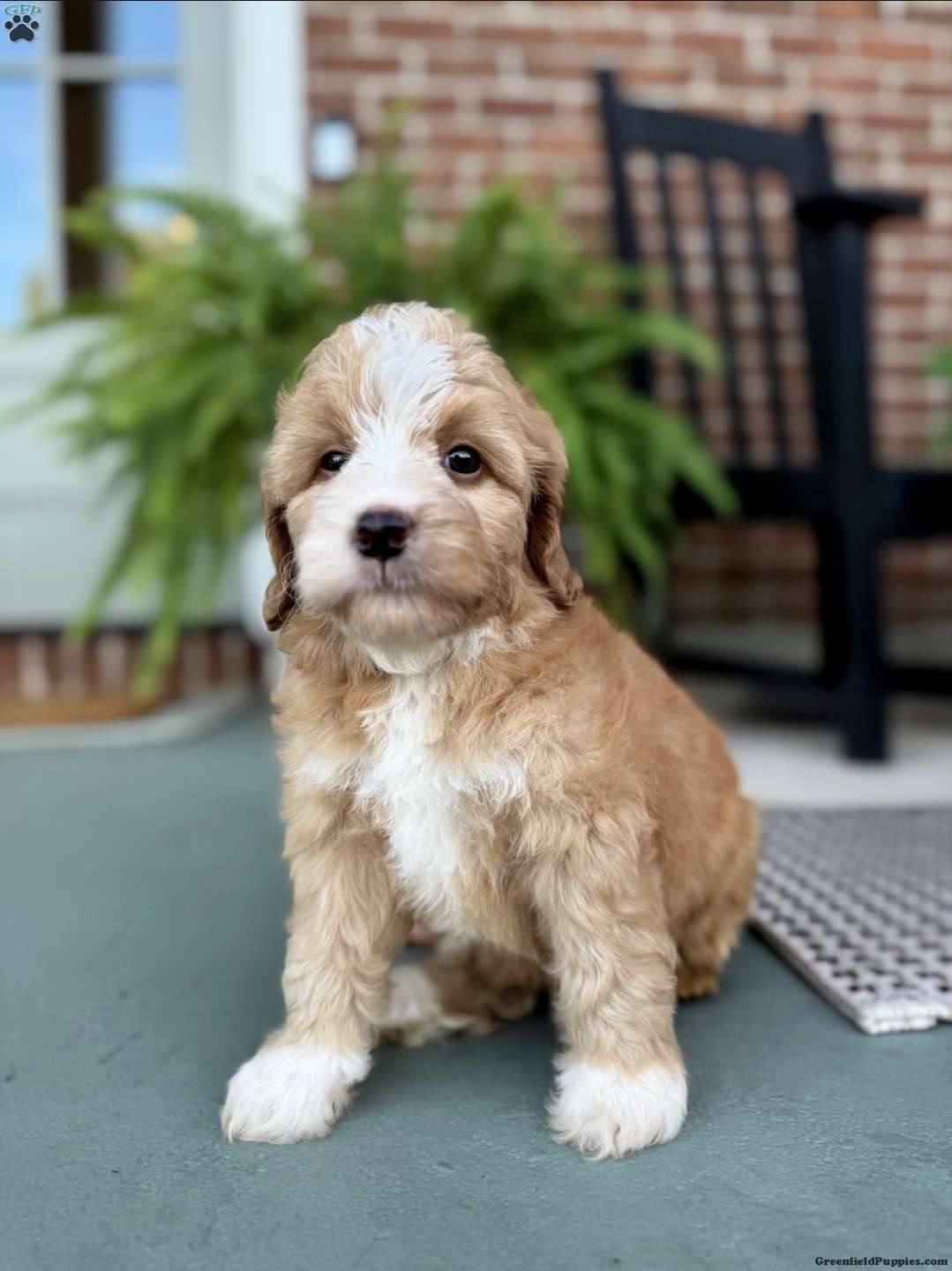 George
