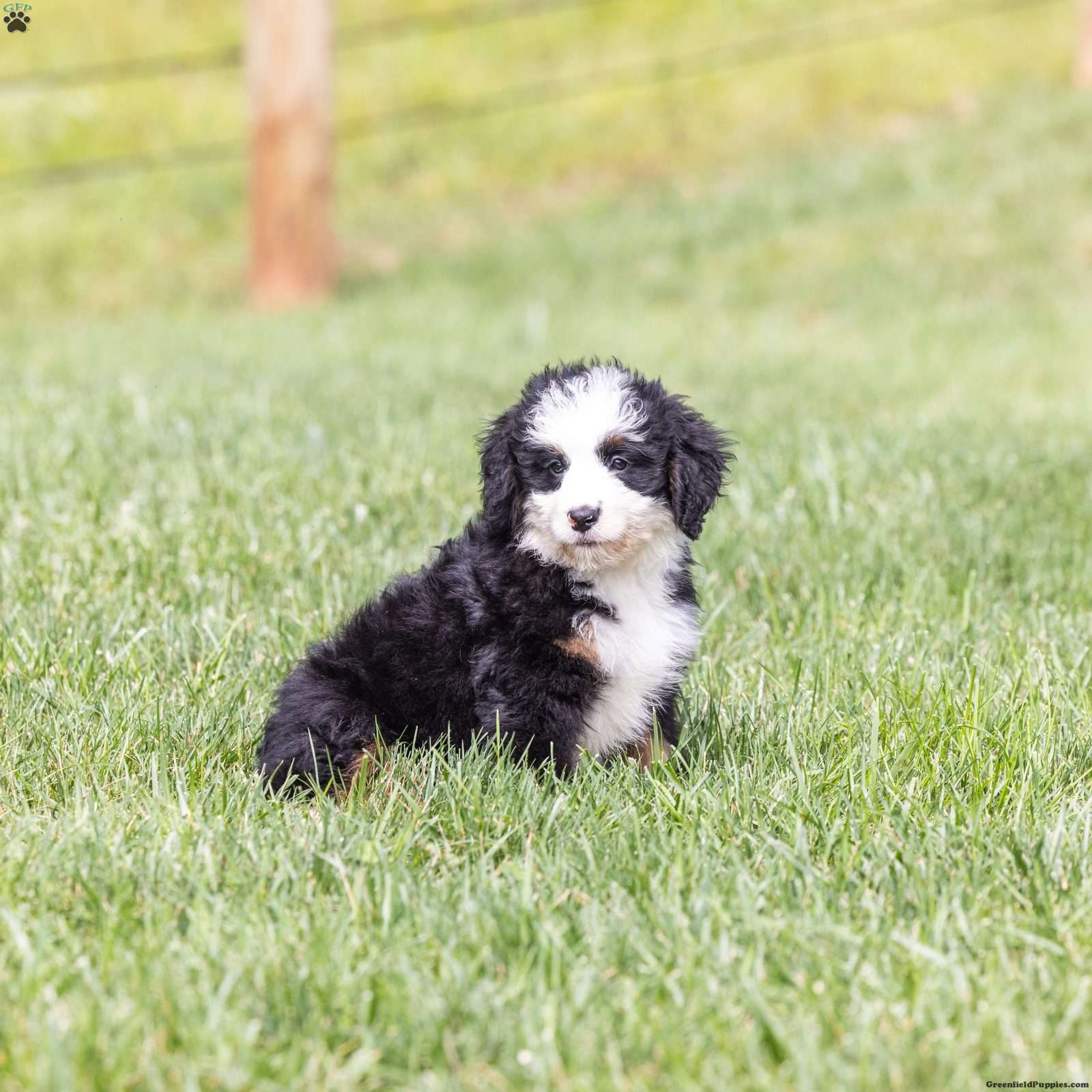 Baxter