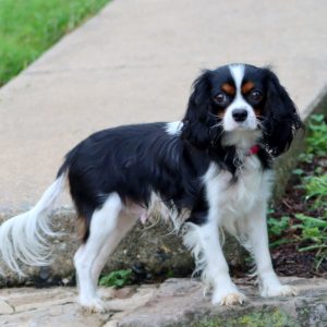 mom