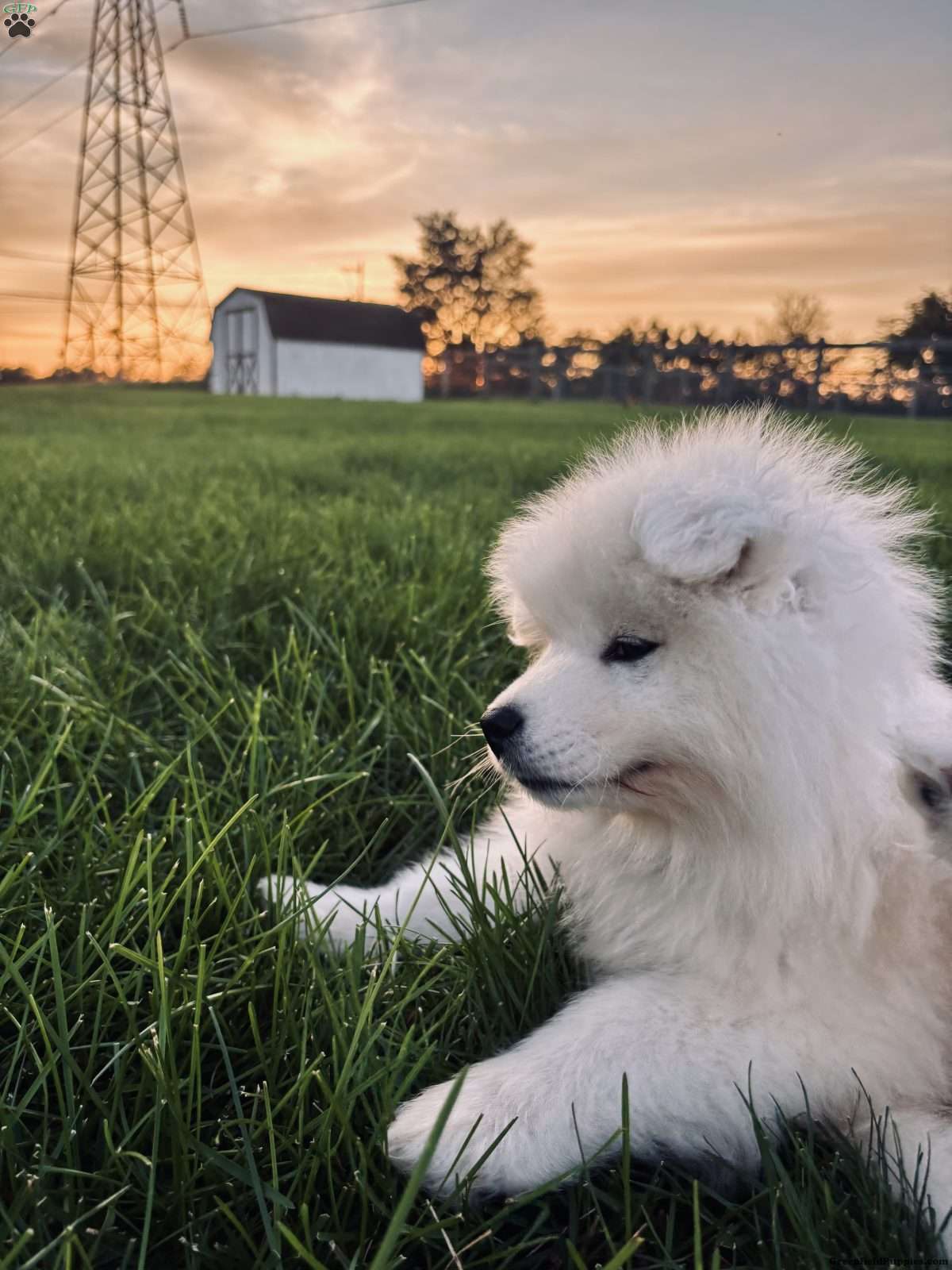 Marley