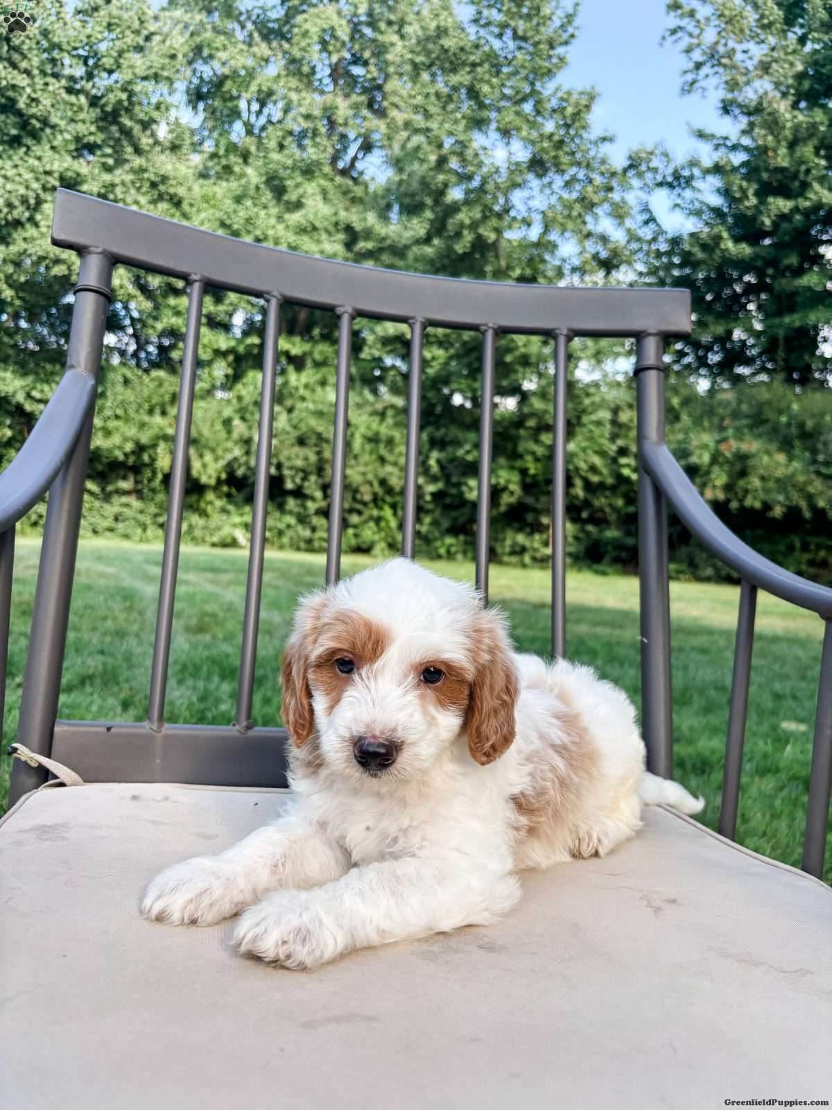 Remy