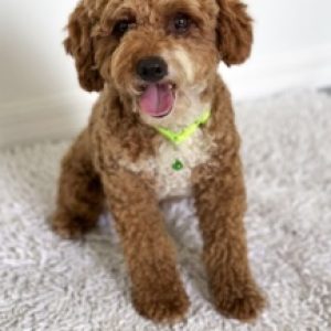 dad