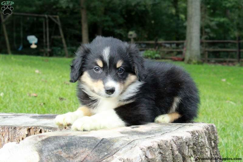 Lilly