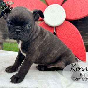 Kenny, Bugg Puppy