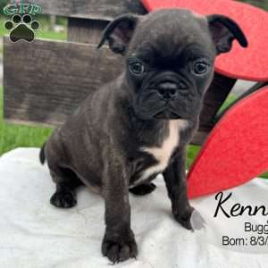 Kenny, Bugg Puppy