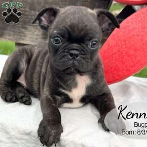 Kenny, Bugg Puppy