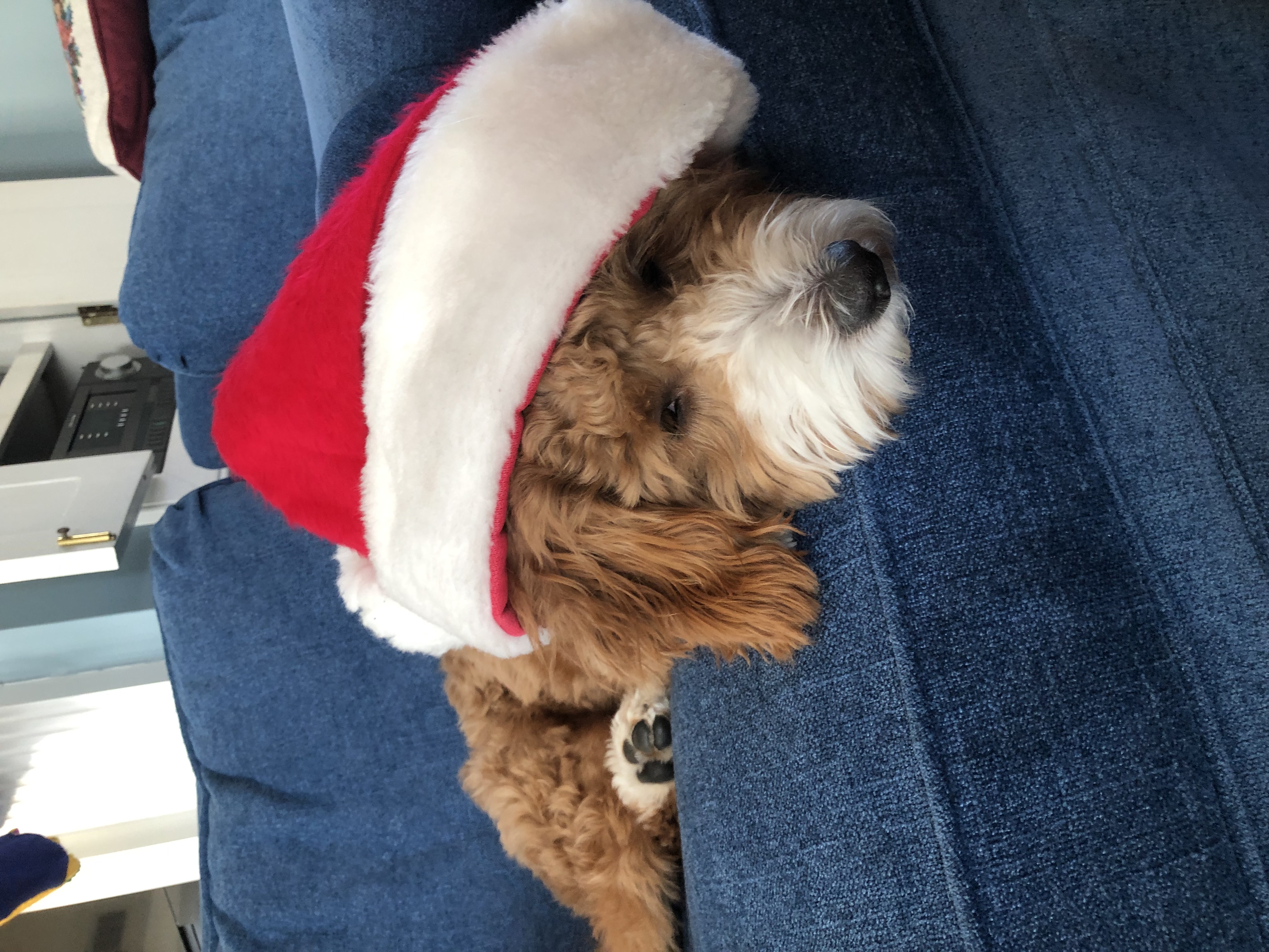 Photo Review Submission from Lindsay Nardone