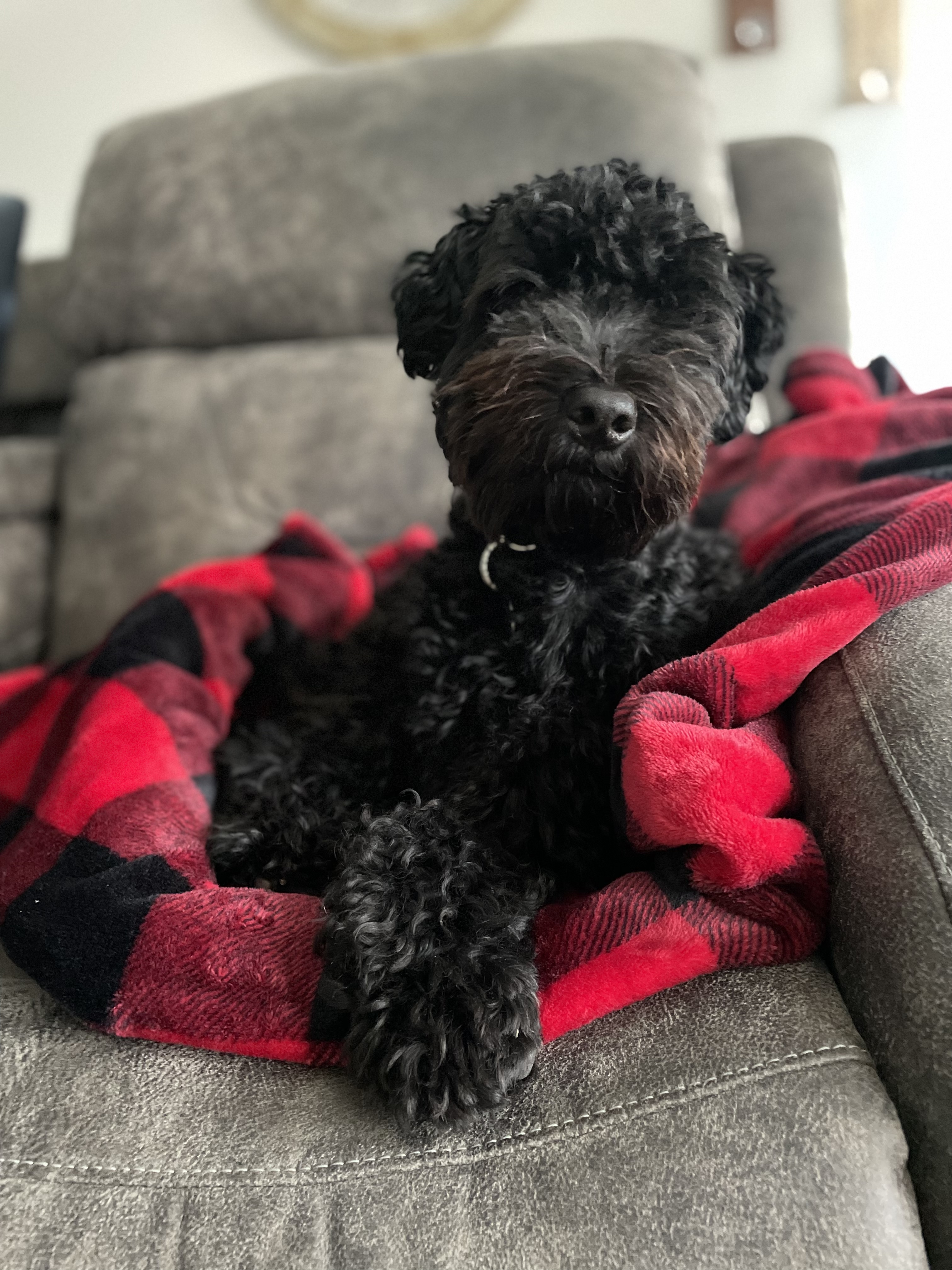 Photo Review Submission from Stacey Morrison