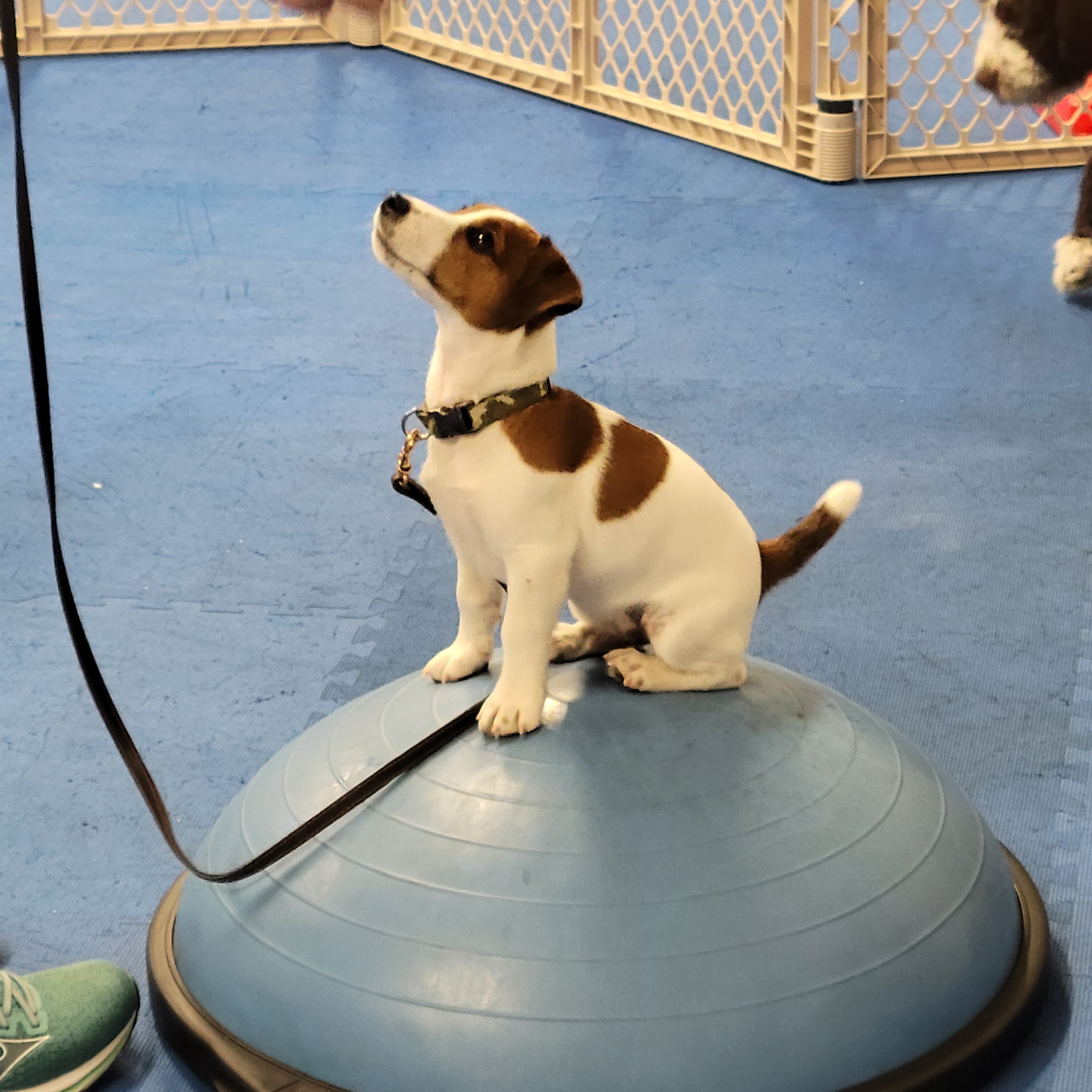 Photo Review Submission from Brittany Testa