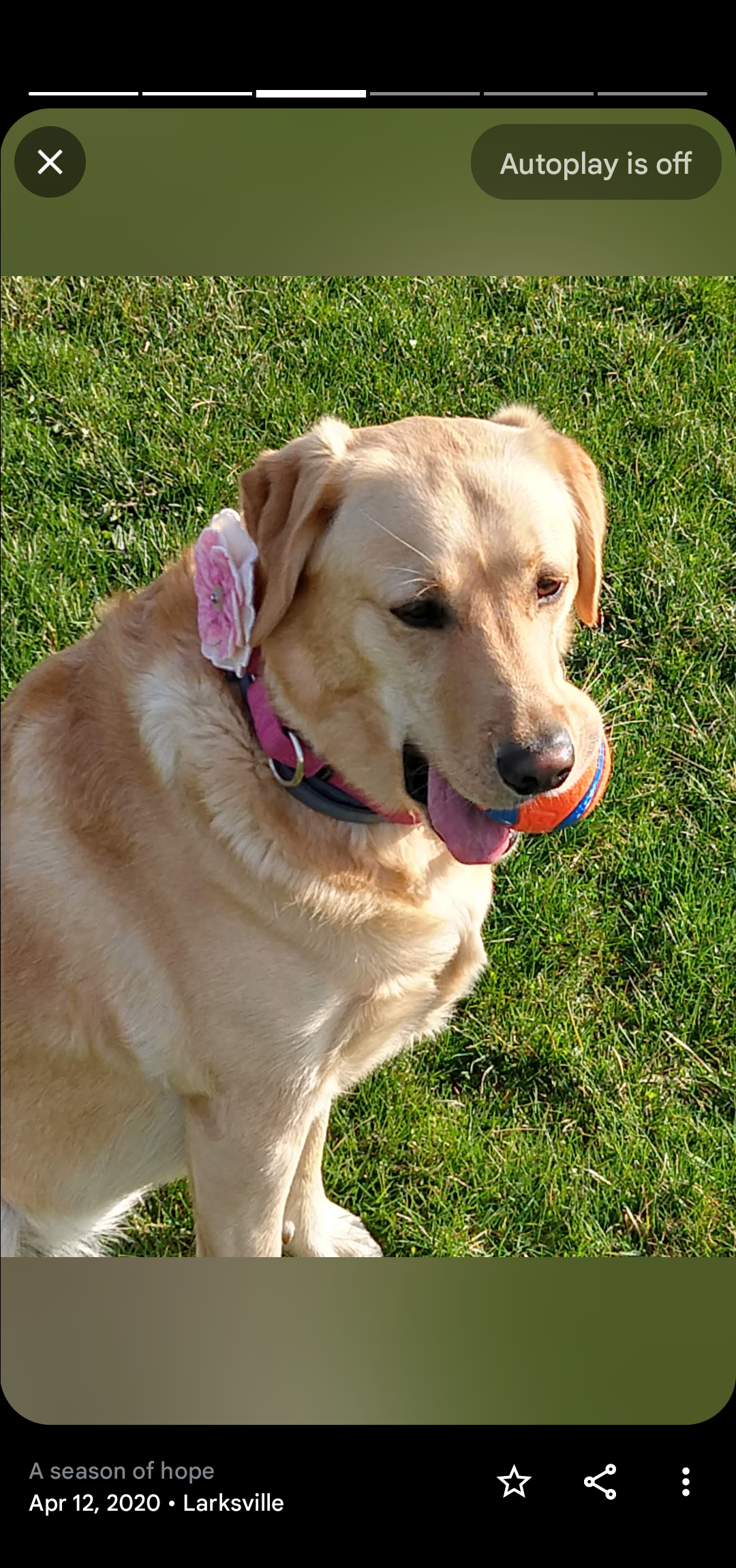 Photo Review Submission from Sandra Hopple