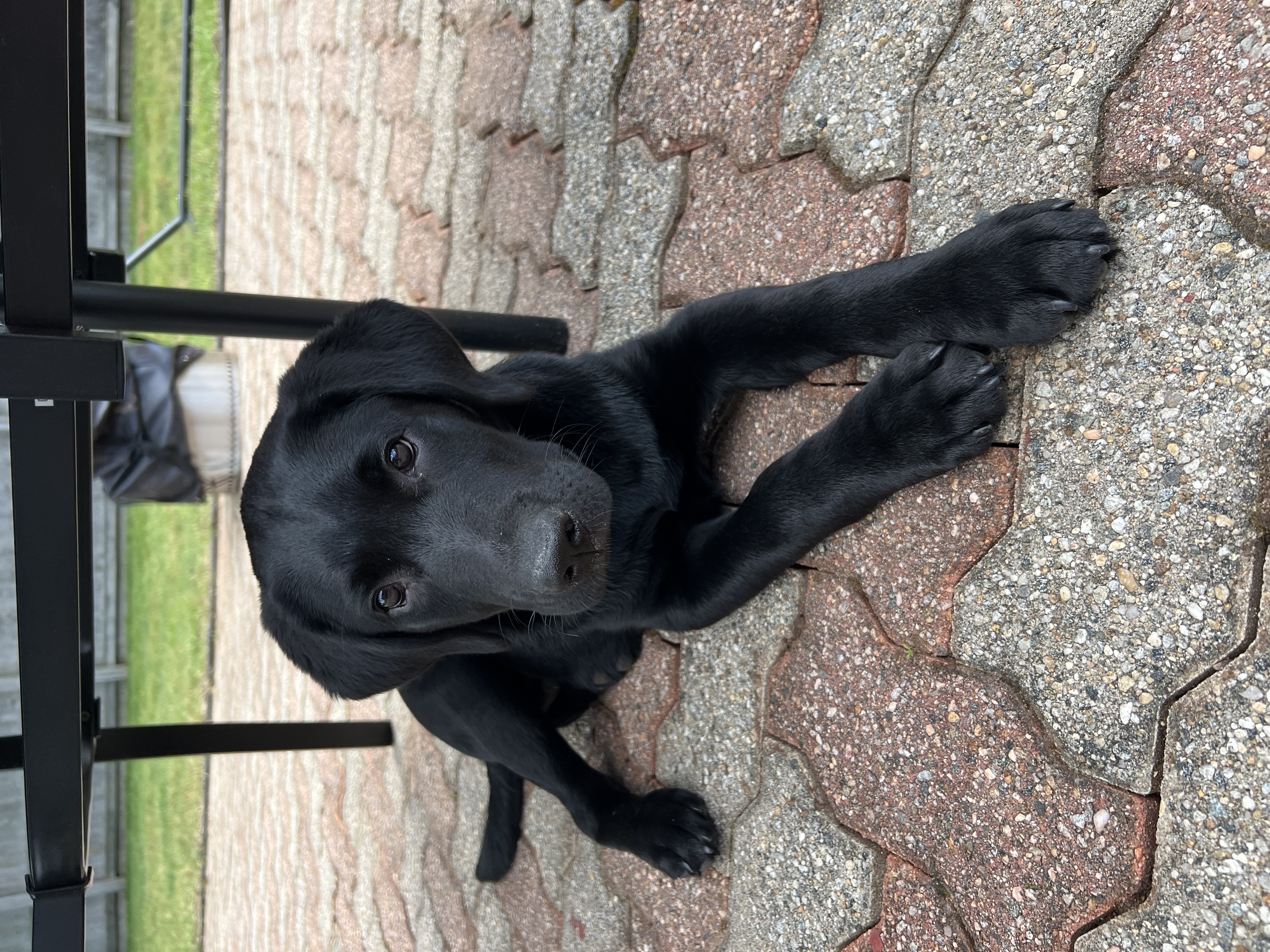 Photo Review Submission from Gabbie Godbout