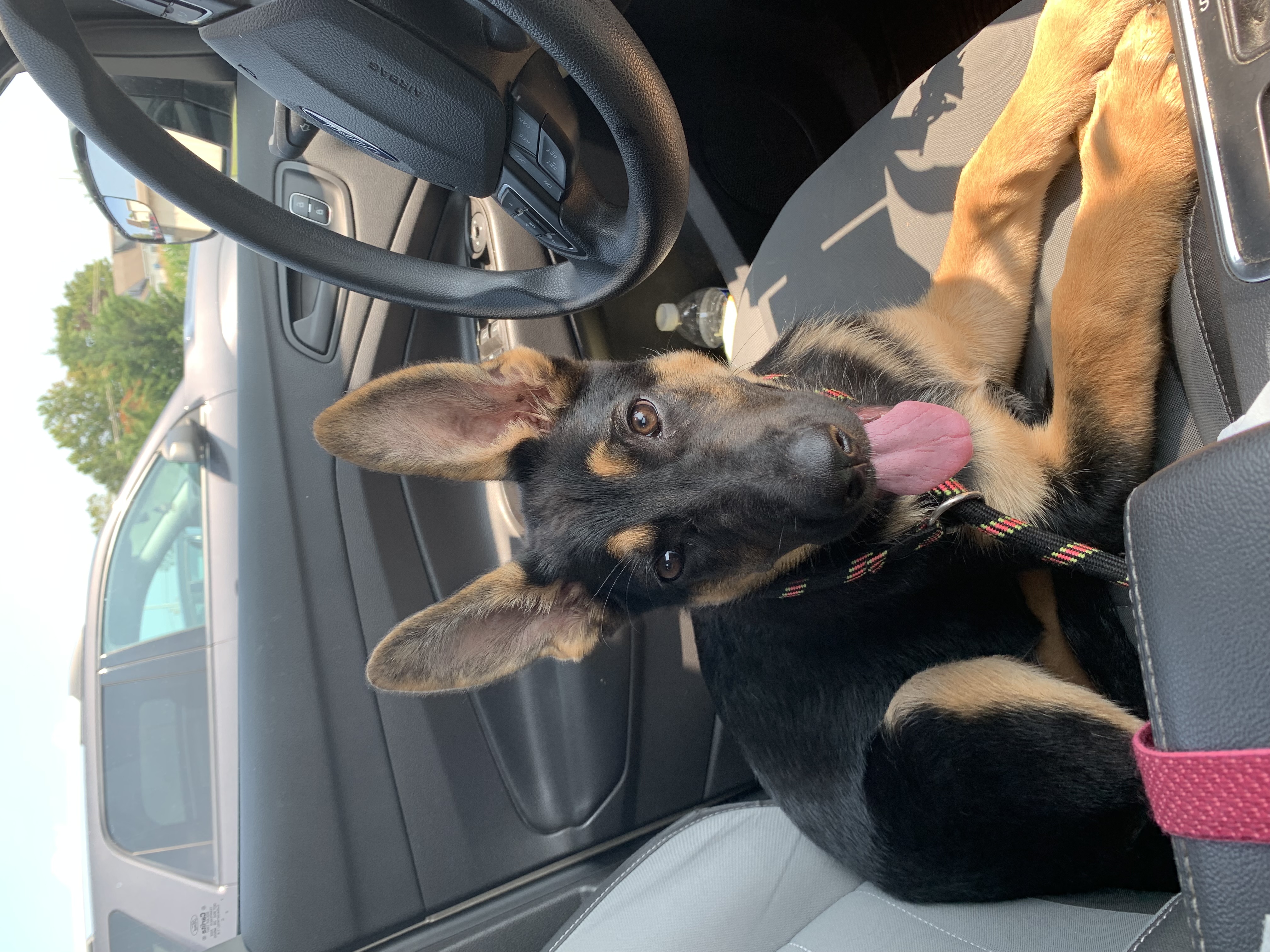 Photo Review Submission from Mary Sparr