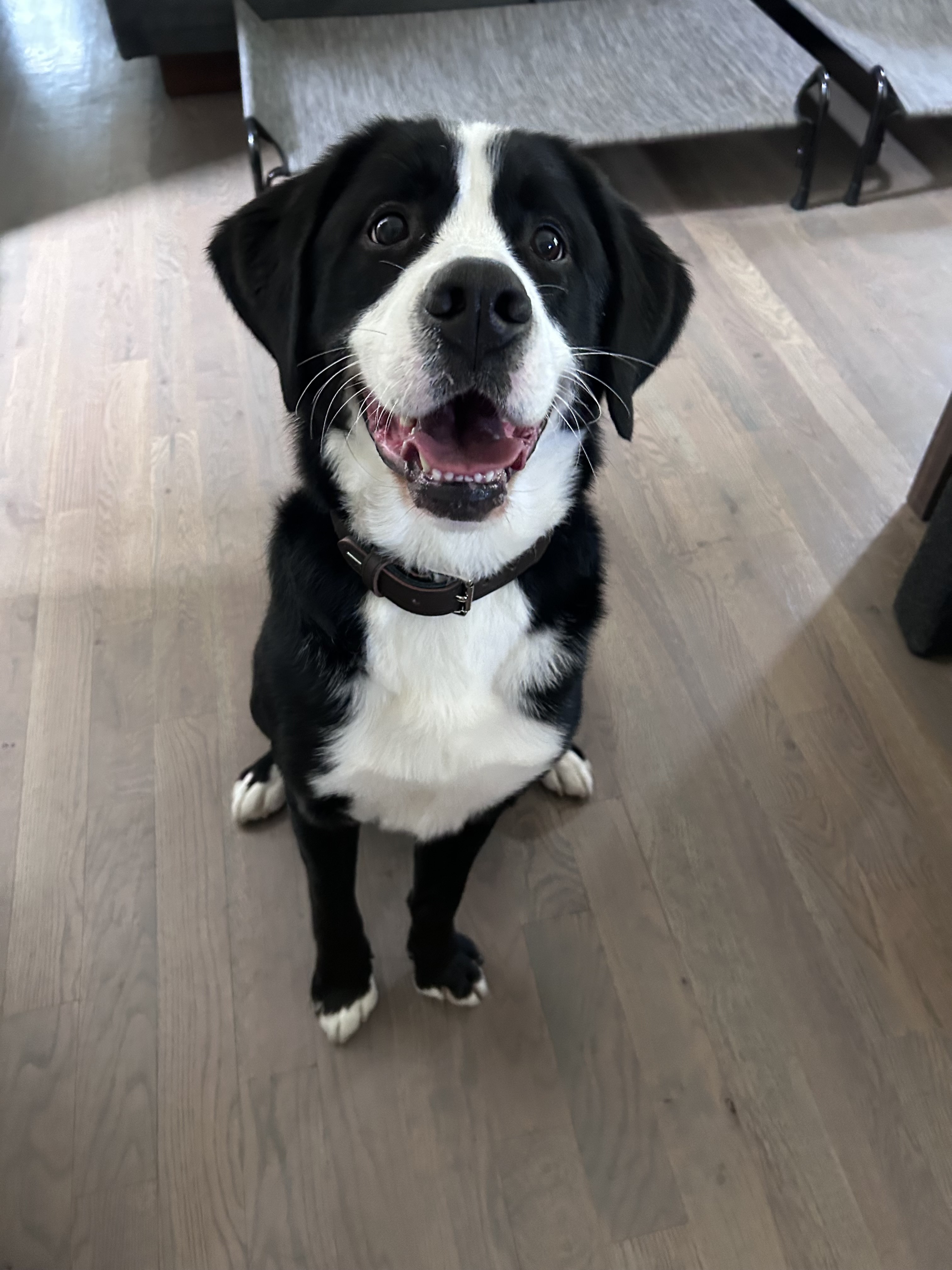 Photo Review Submission from Helen Chamblee