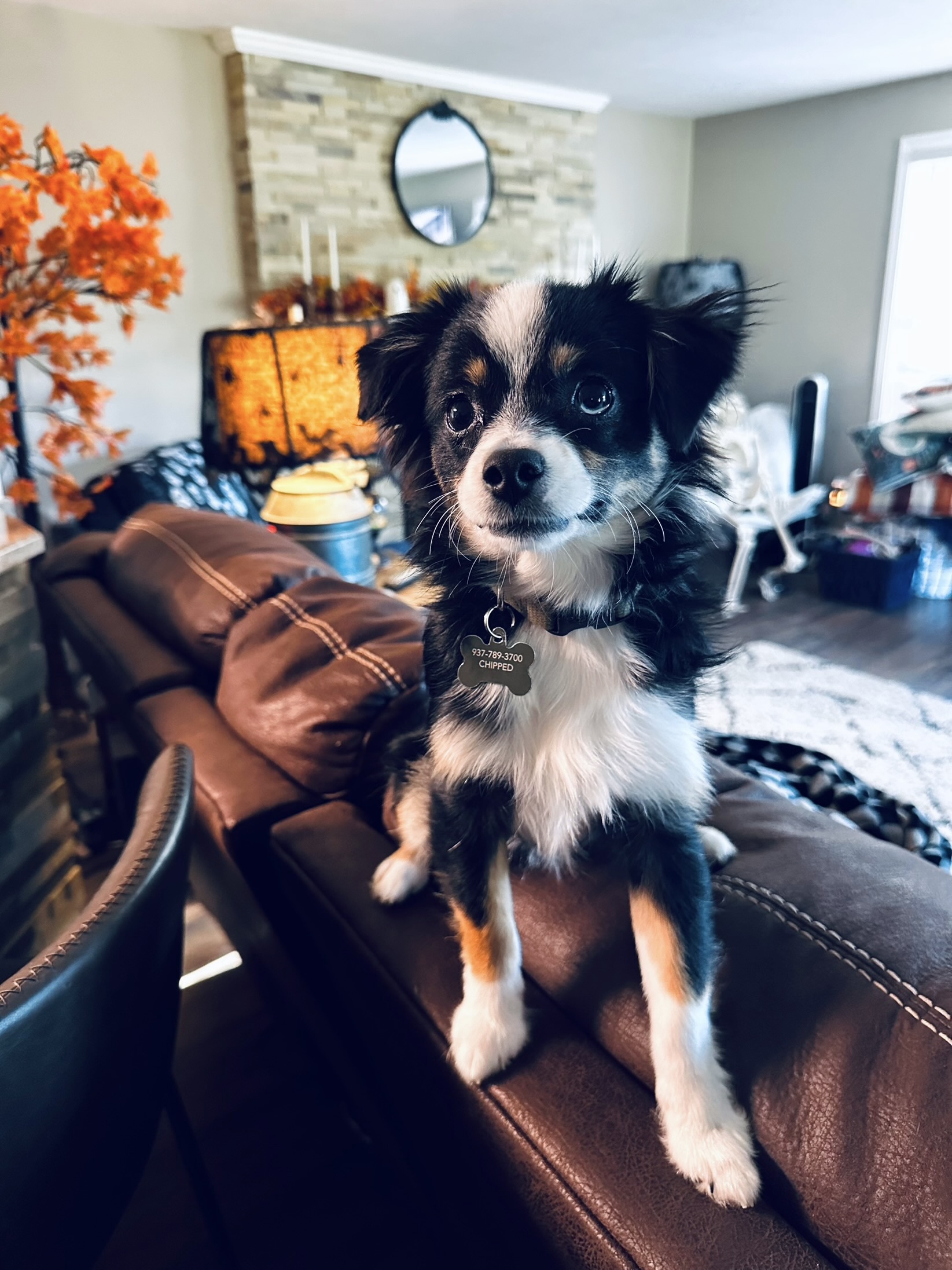 Photo Review Submission from Mackenzie Golden