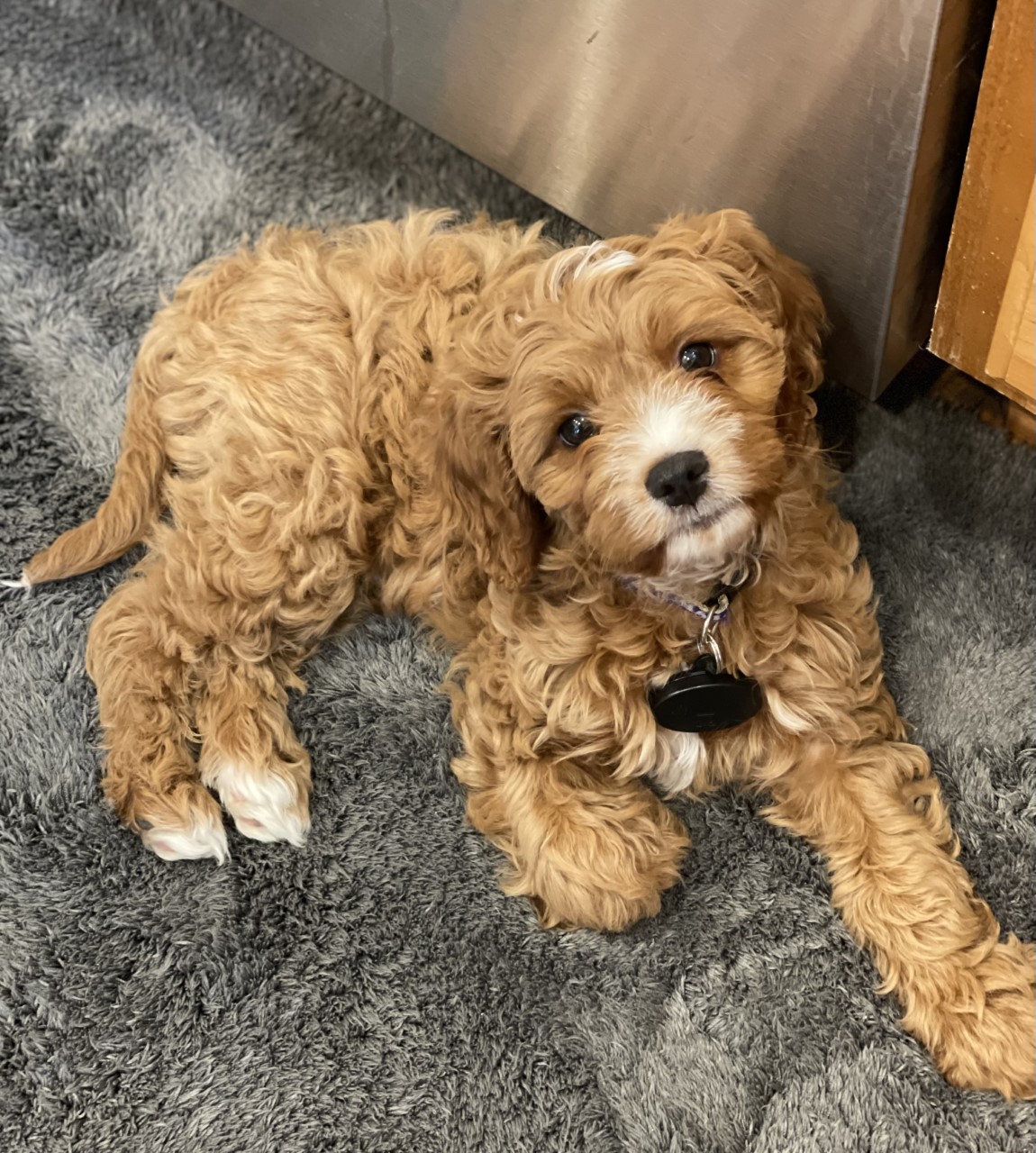 Photo Review Submission from Katherine Pfau