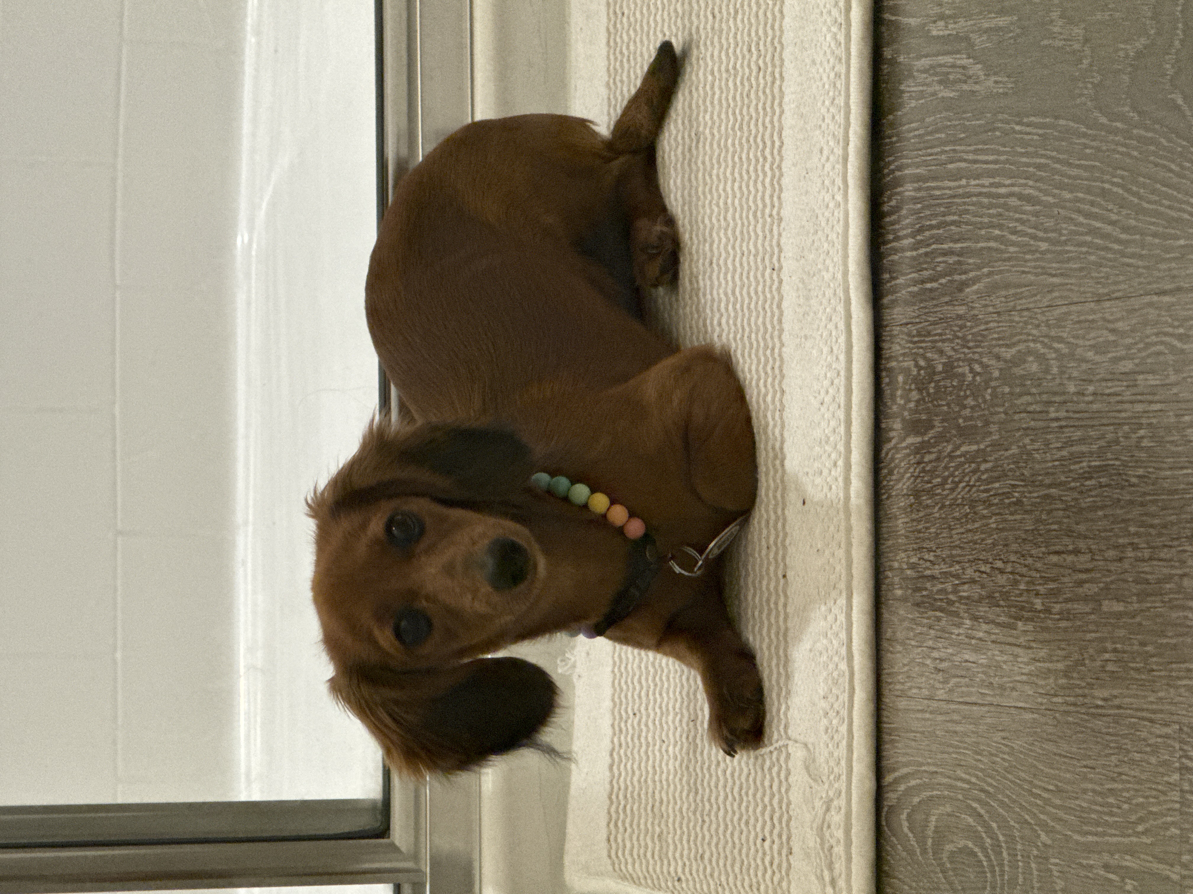 Photo Review Submission from Paige Bradley