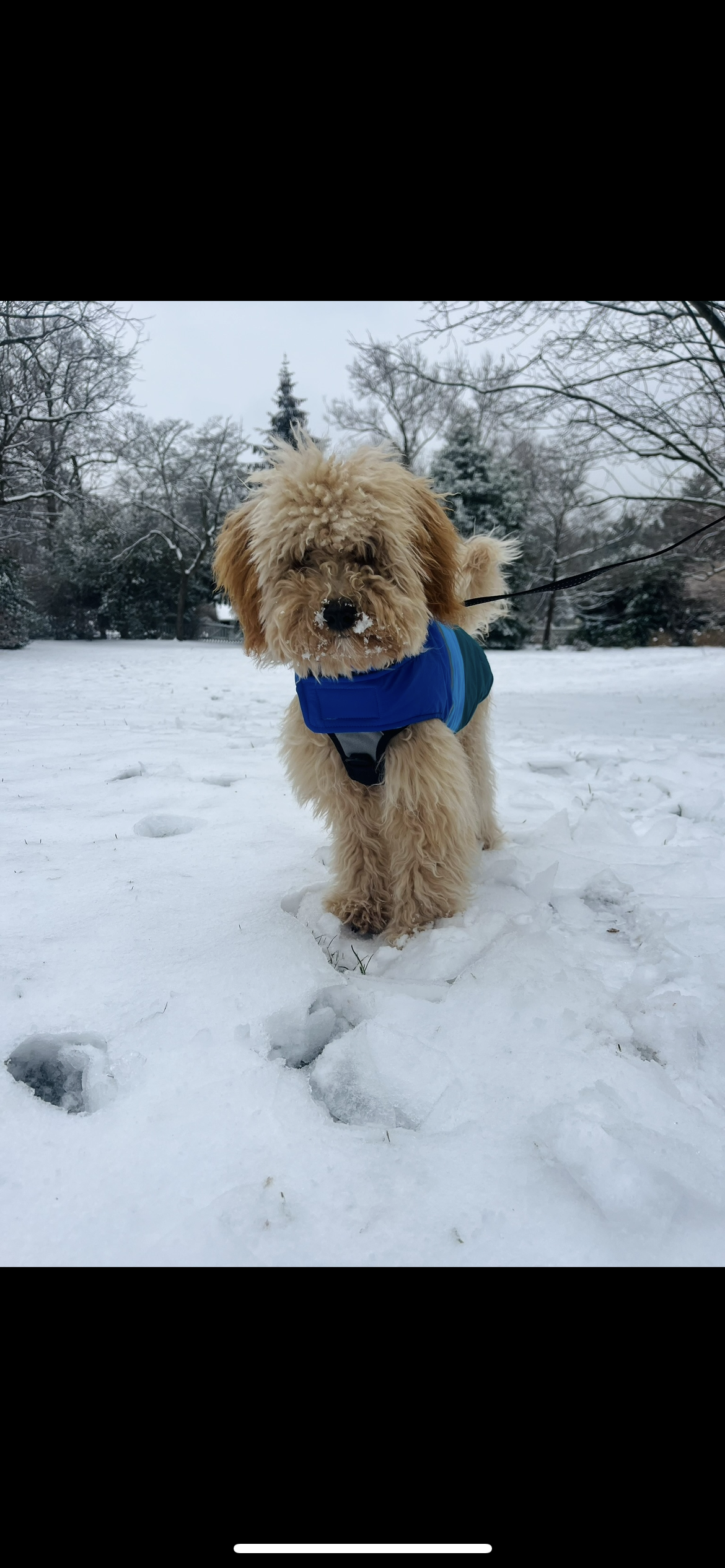 Photo Review Submission from Morgan Henderson