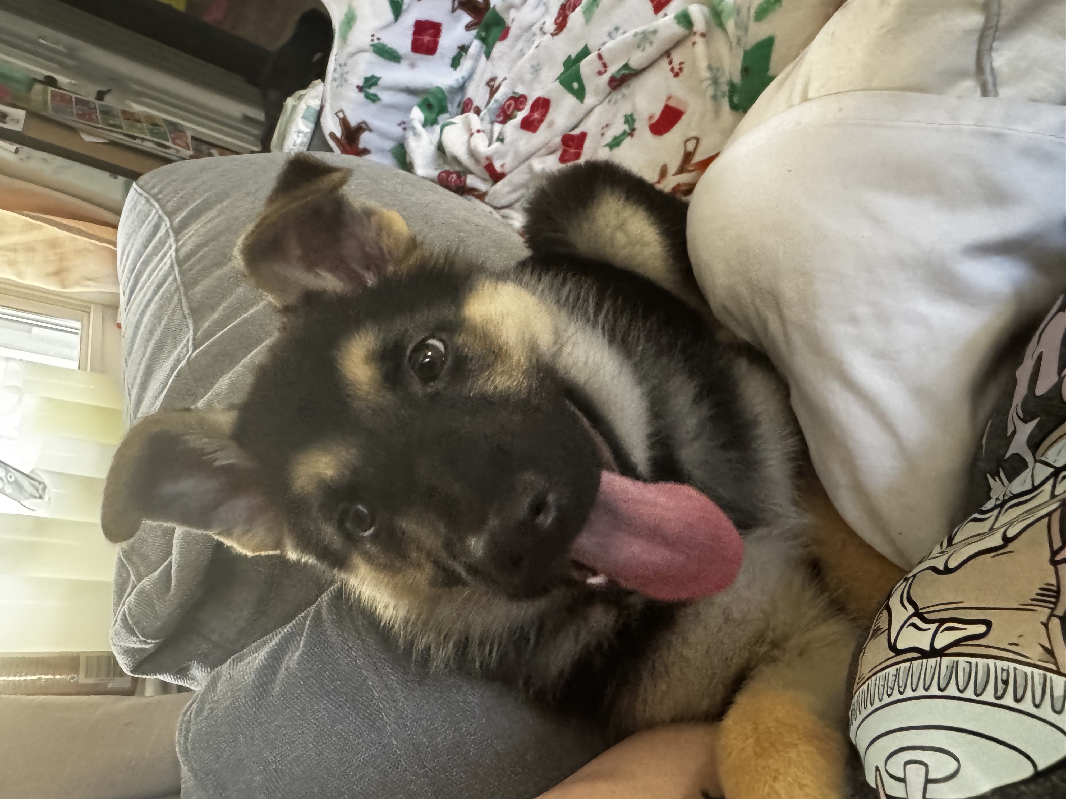 Photo Review Submission from Brittany C