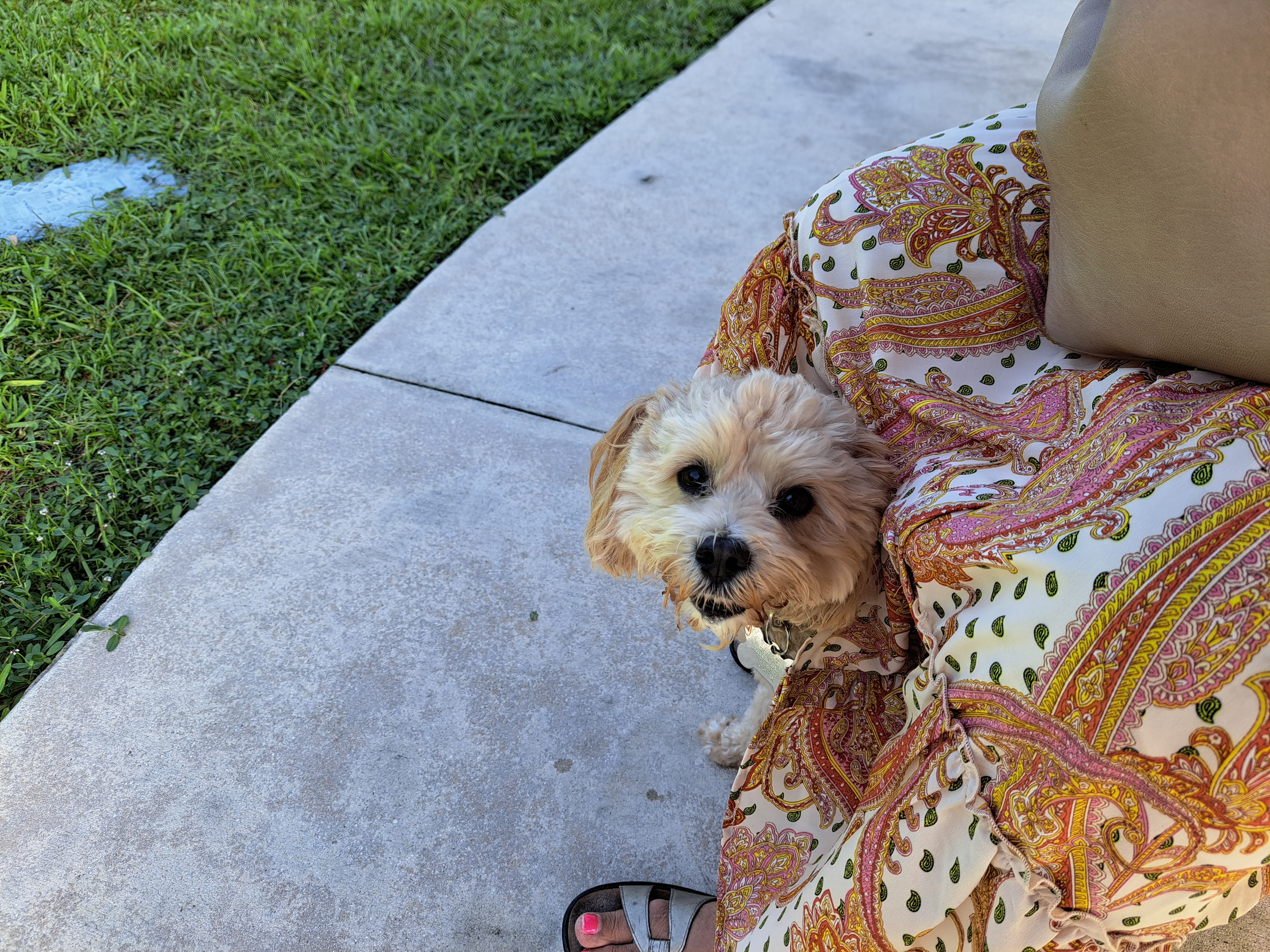 Photo Review Submission from Lawrence and Mjndi Fried