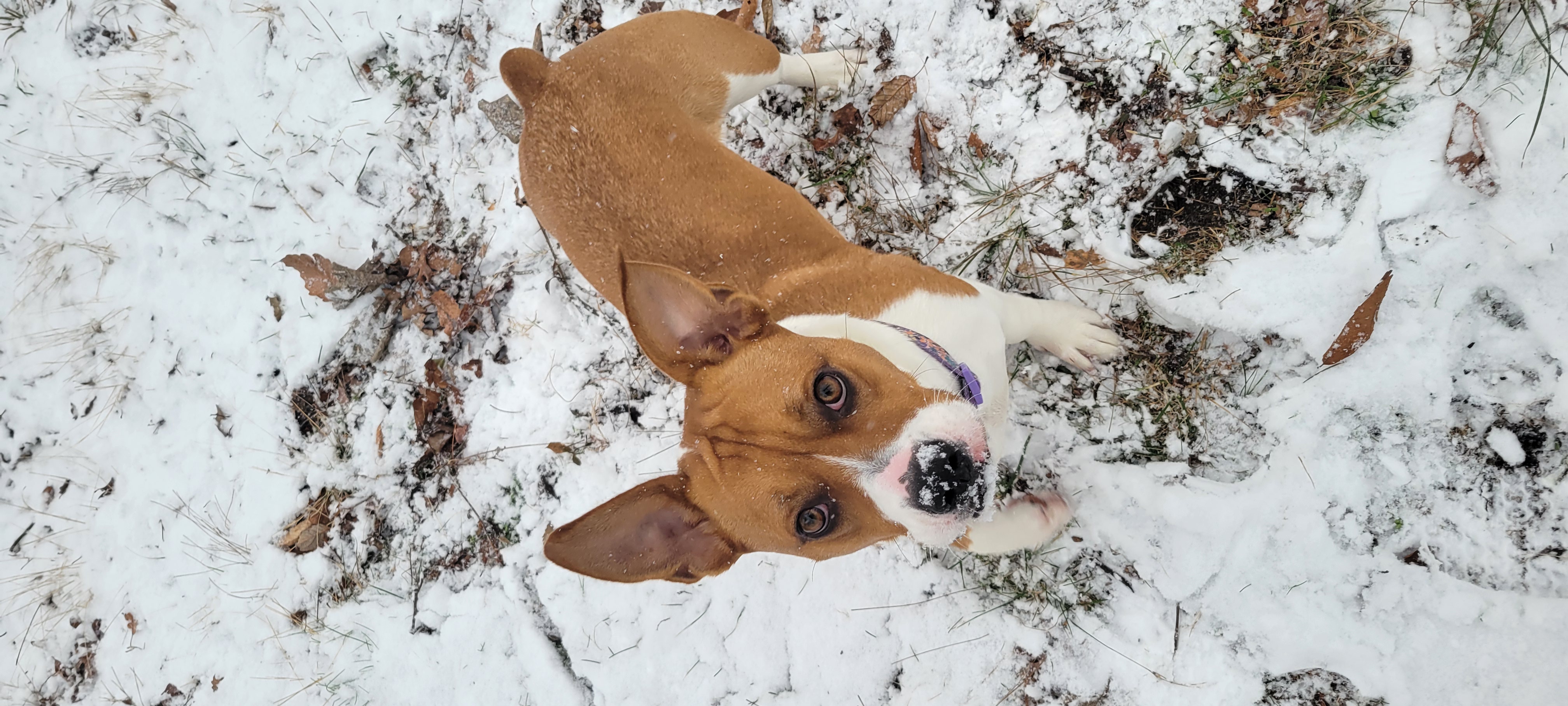 Photo Review Submission from Alexis Rittenhouse