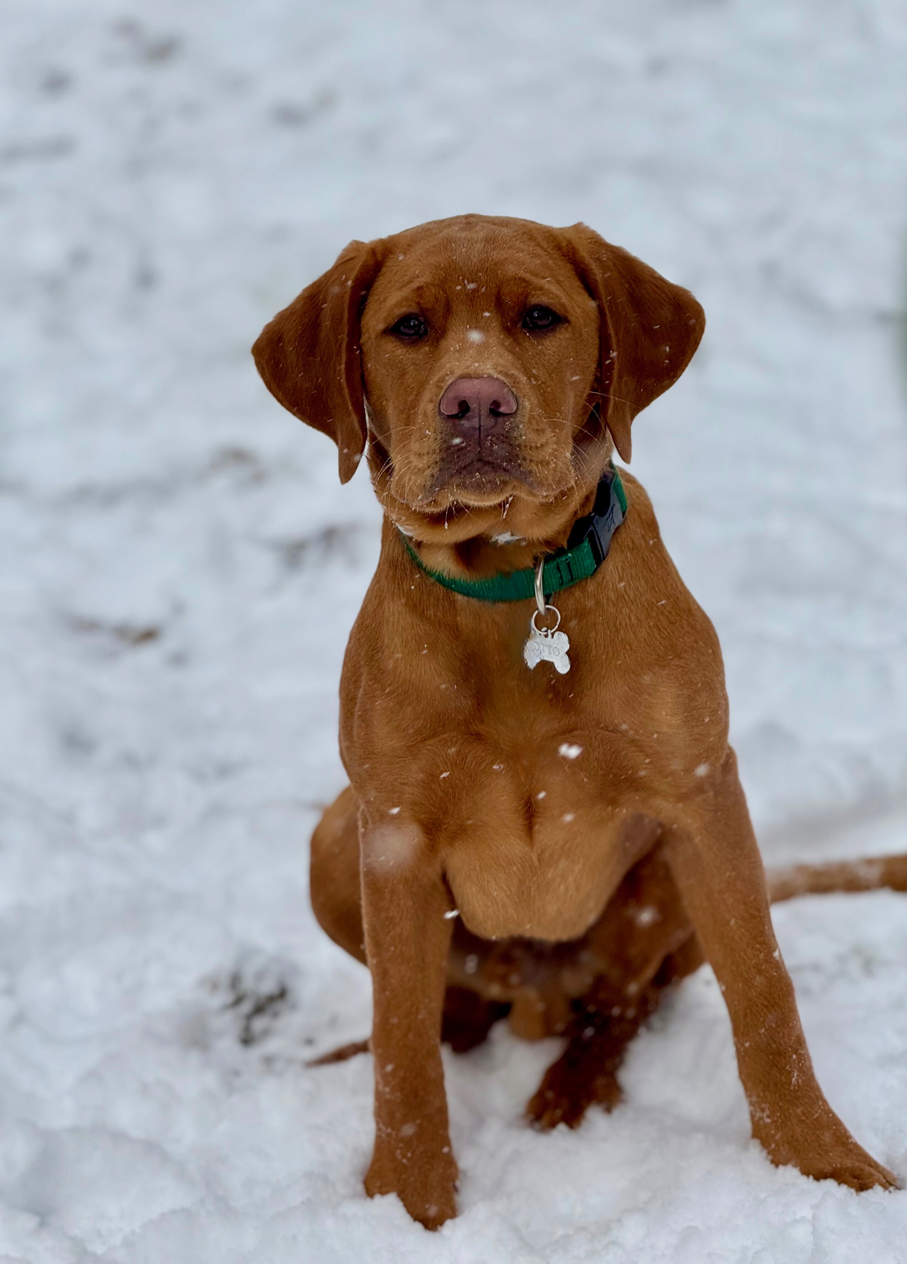 Photo Review Submission from Joe Botto