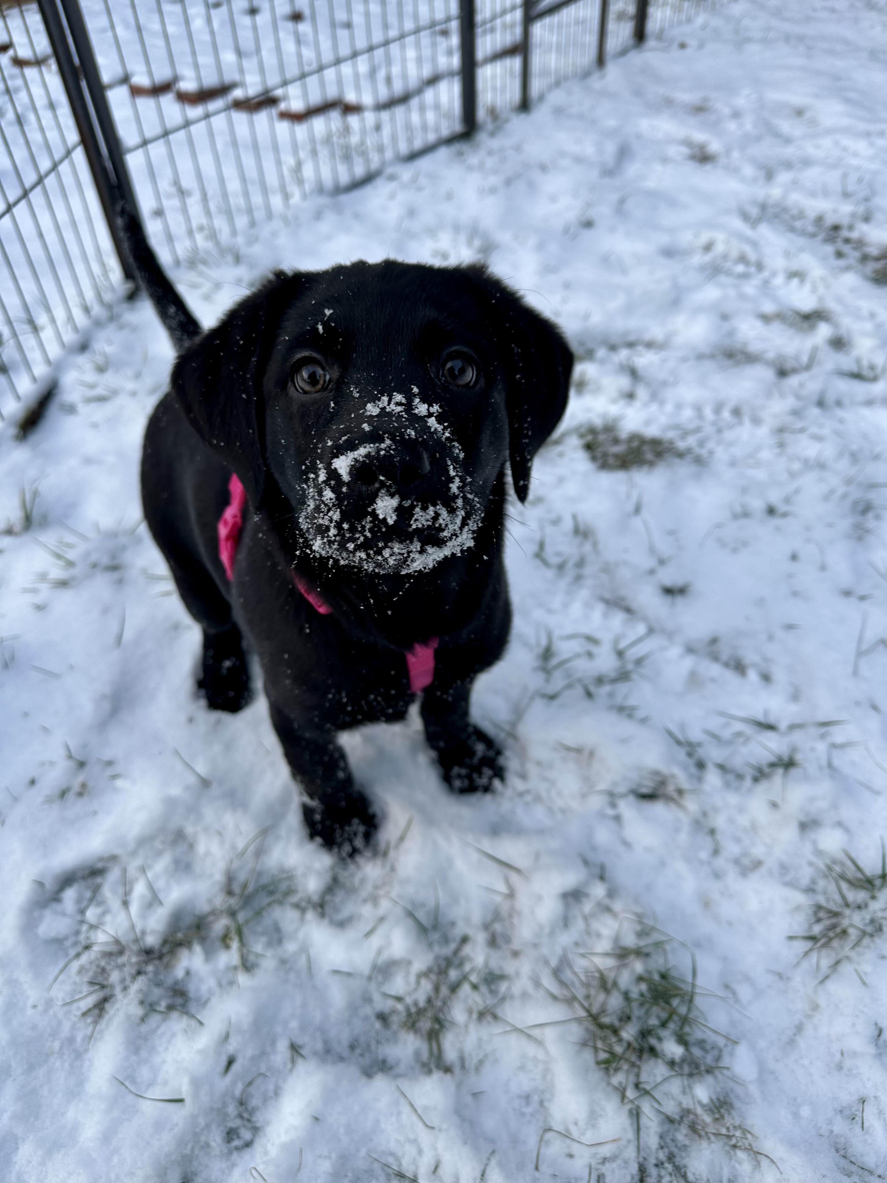 Photo Review Submission from Ashley Blemler