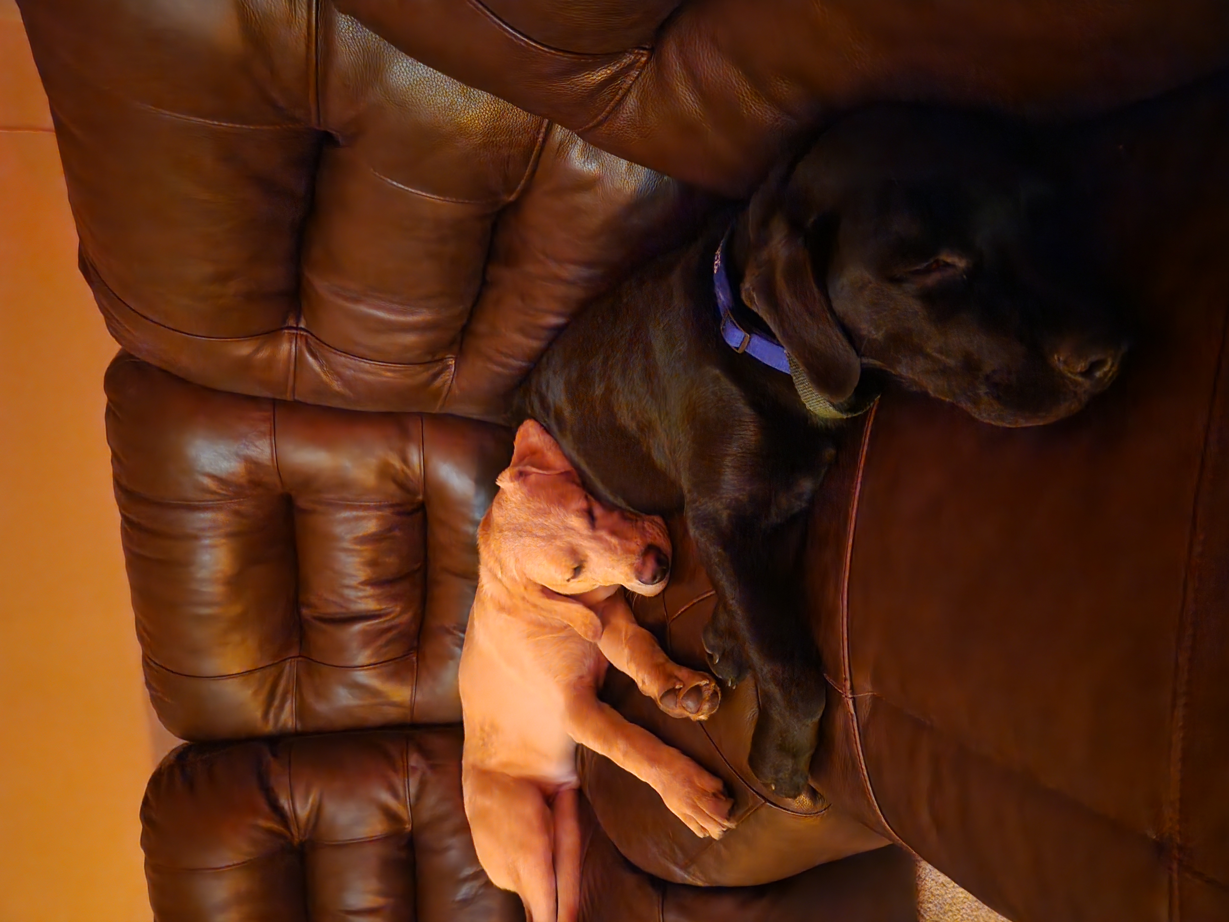 Photo Review Submission from Krrin Shick