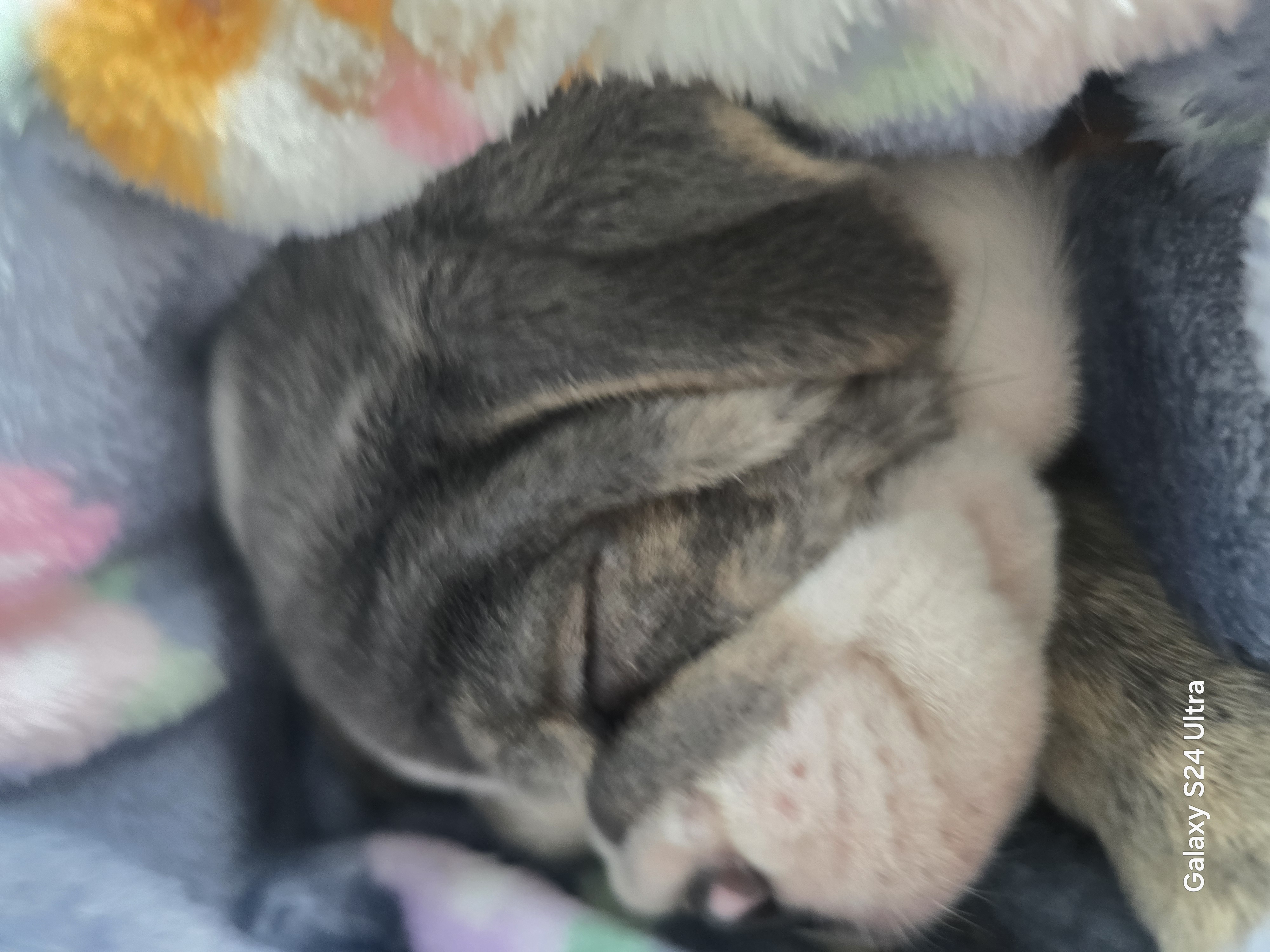 Photo Review Submission from Heather Wiley