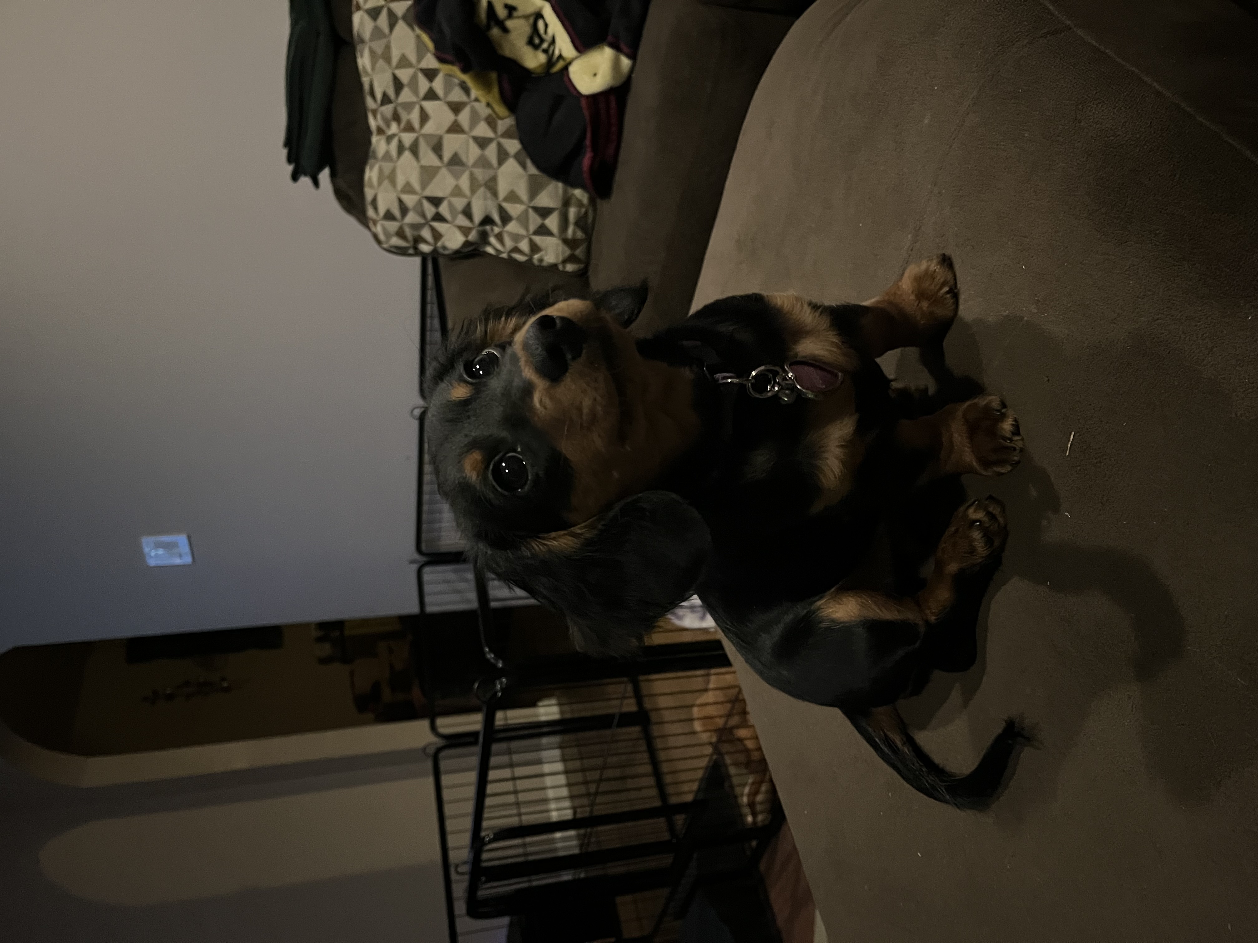 Photo Review Submission from Kayla Deal