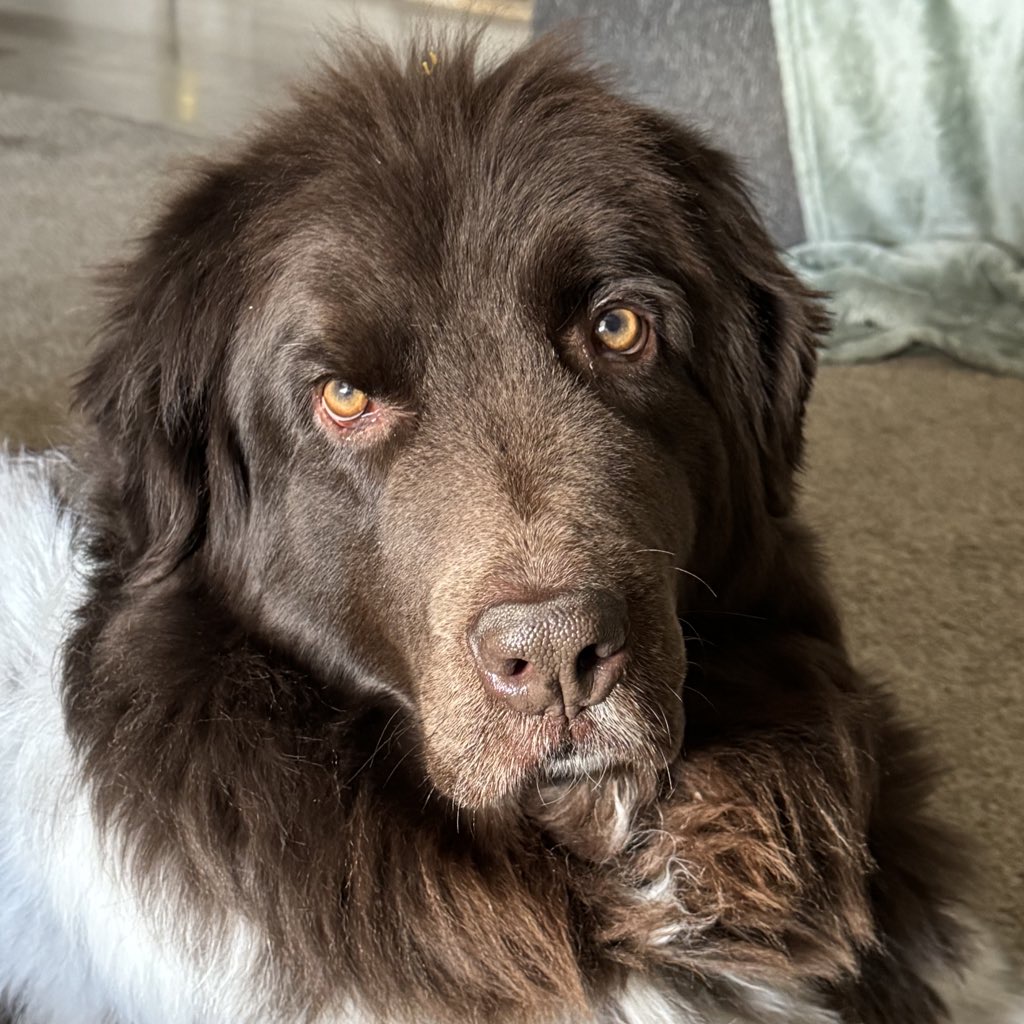Photo Review Submission from Natalie Breegle