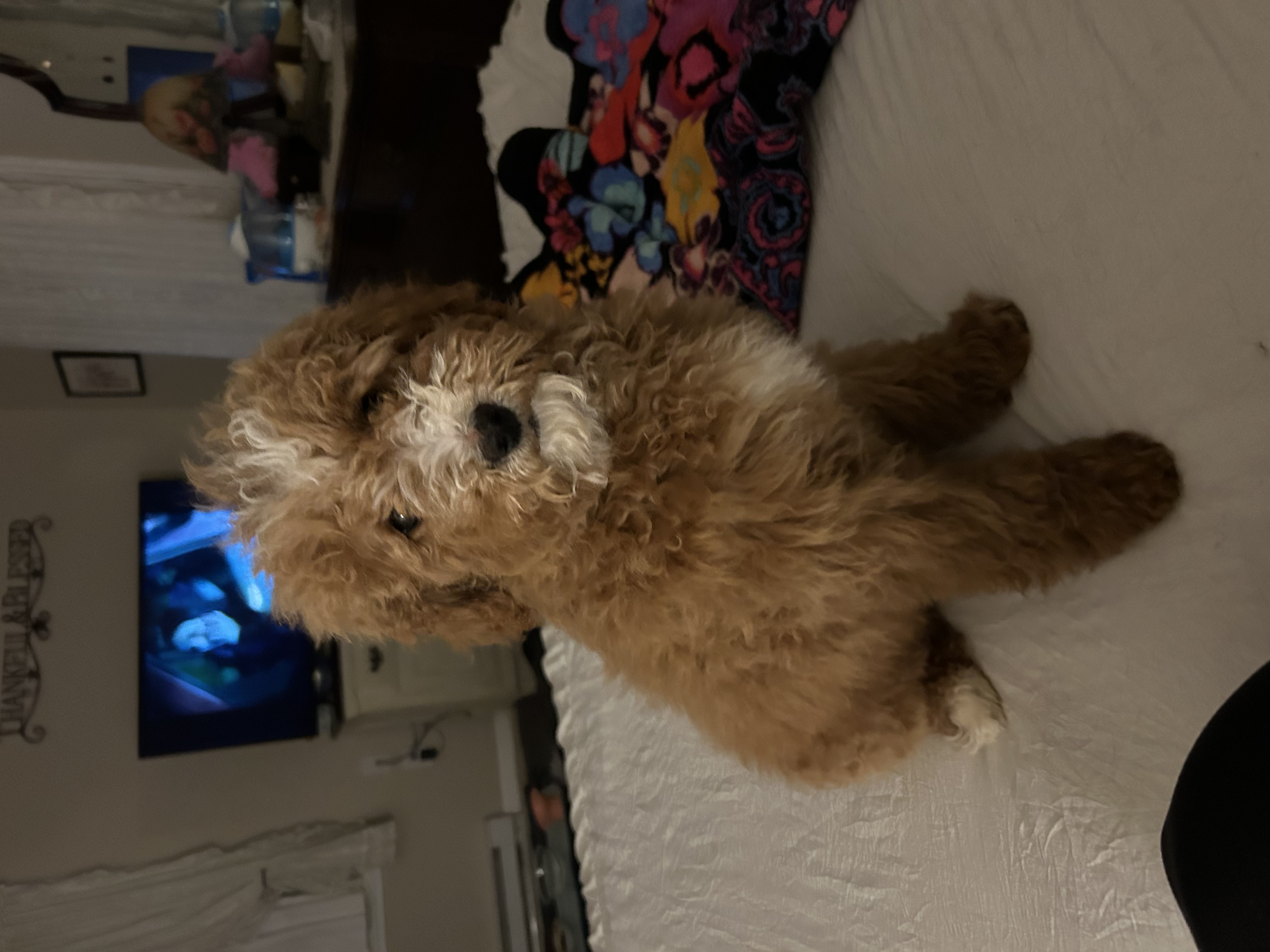 Photo Review Submission from Brenda Edwards