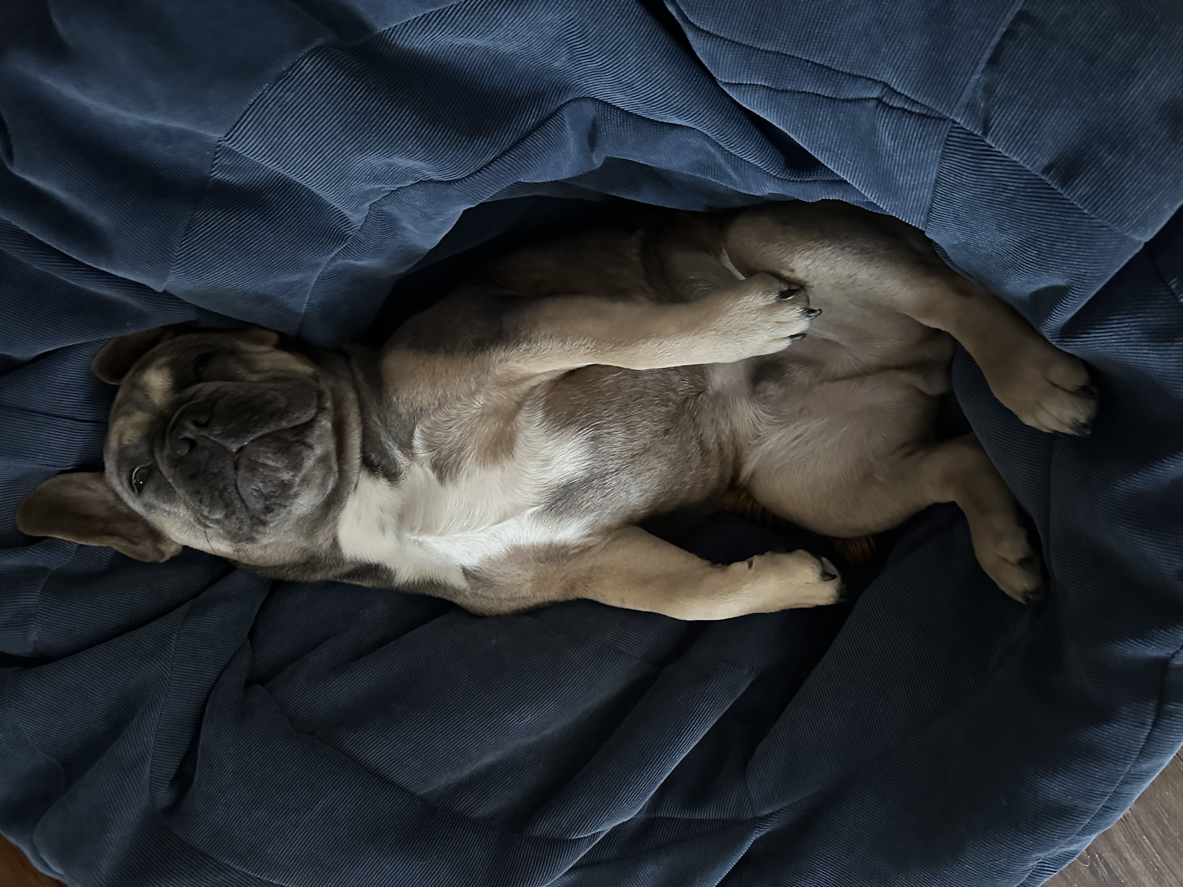 Photo Review Submission from Aaron Wolfe