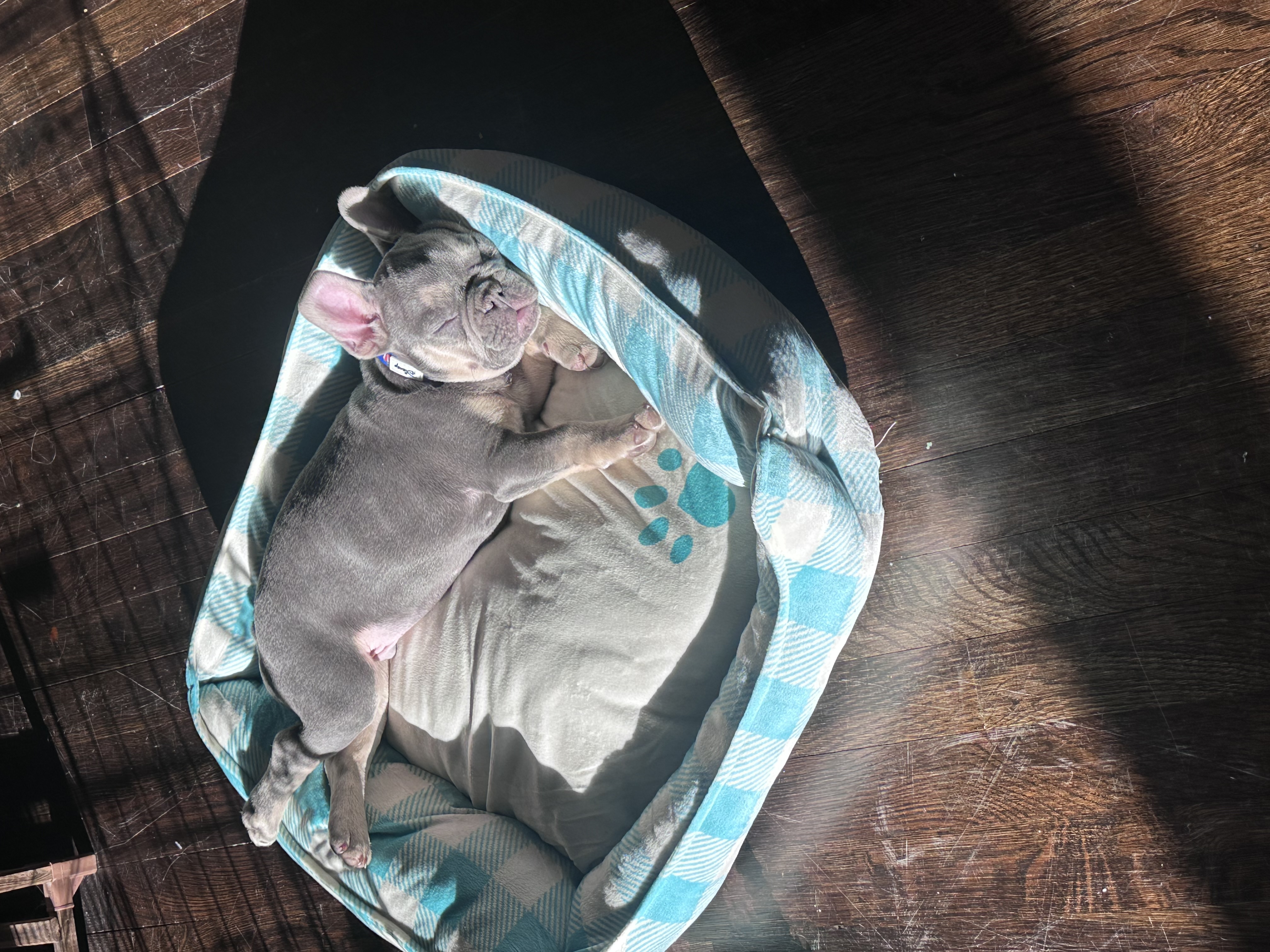 Photo Review Submission from jessica bulson