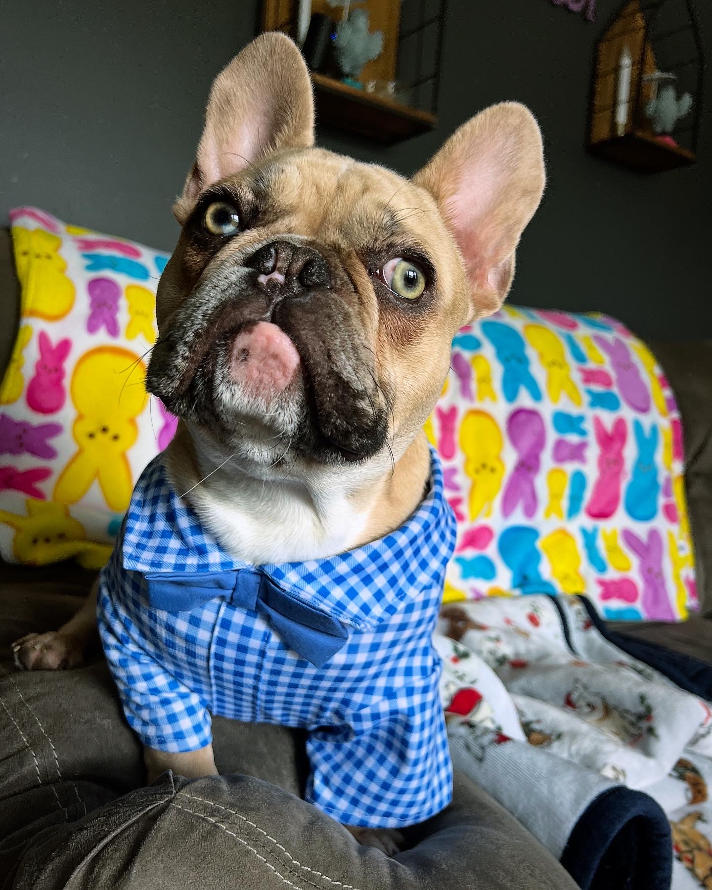 Photo Review Submission from Melissa Delibero