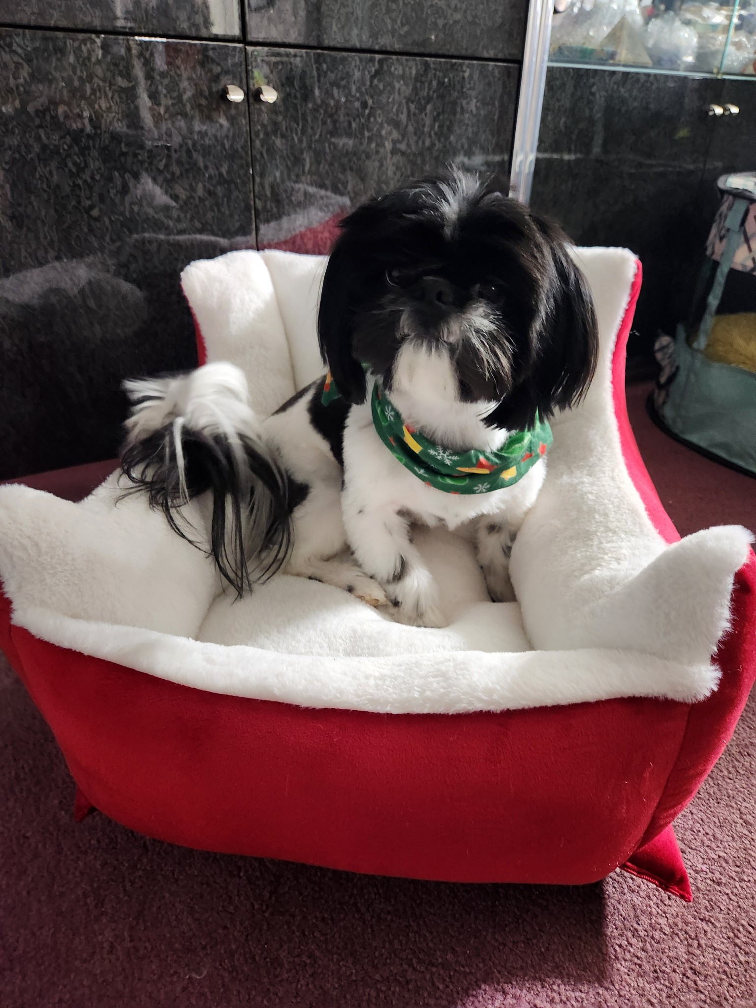 Photo Review Submission from Jennifer Cimini