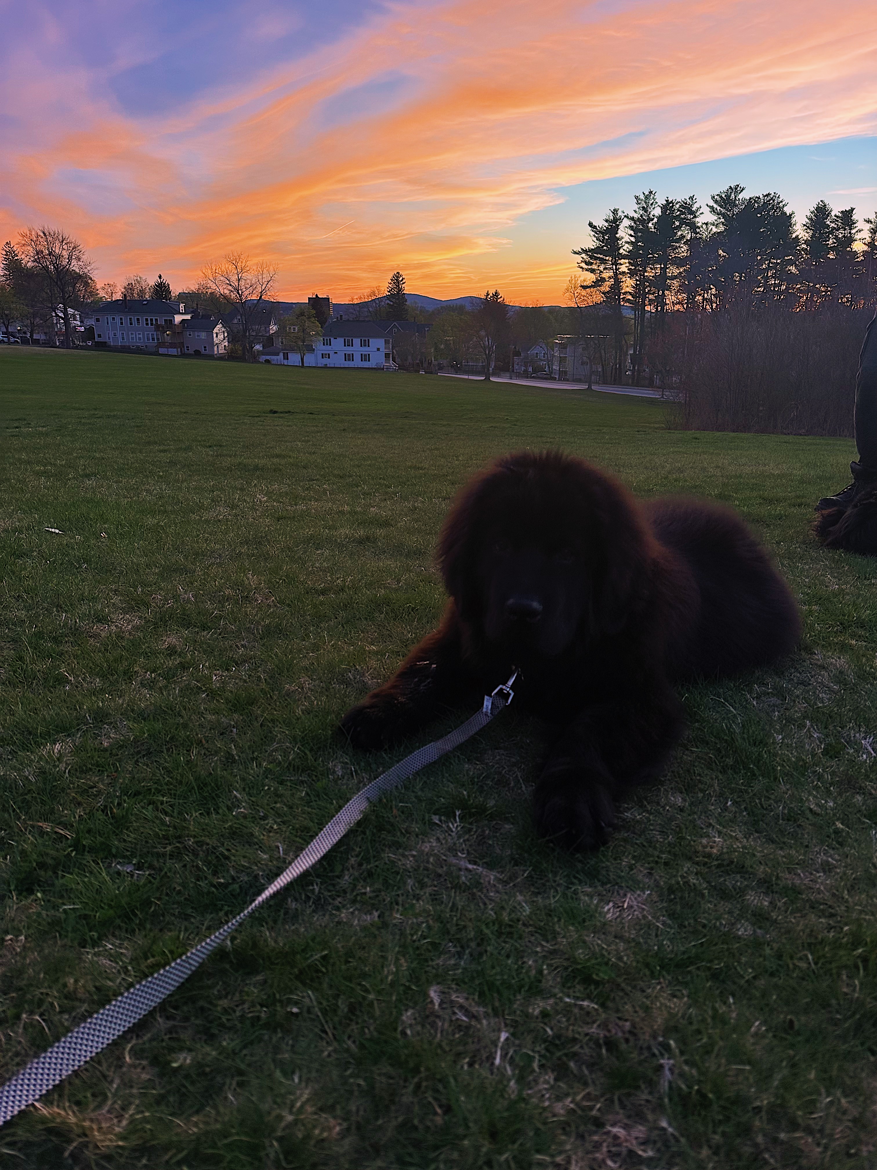 Photo Review Submission from Carrie Van Magness