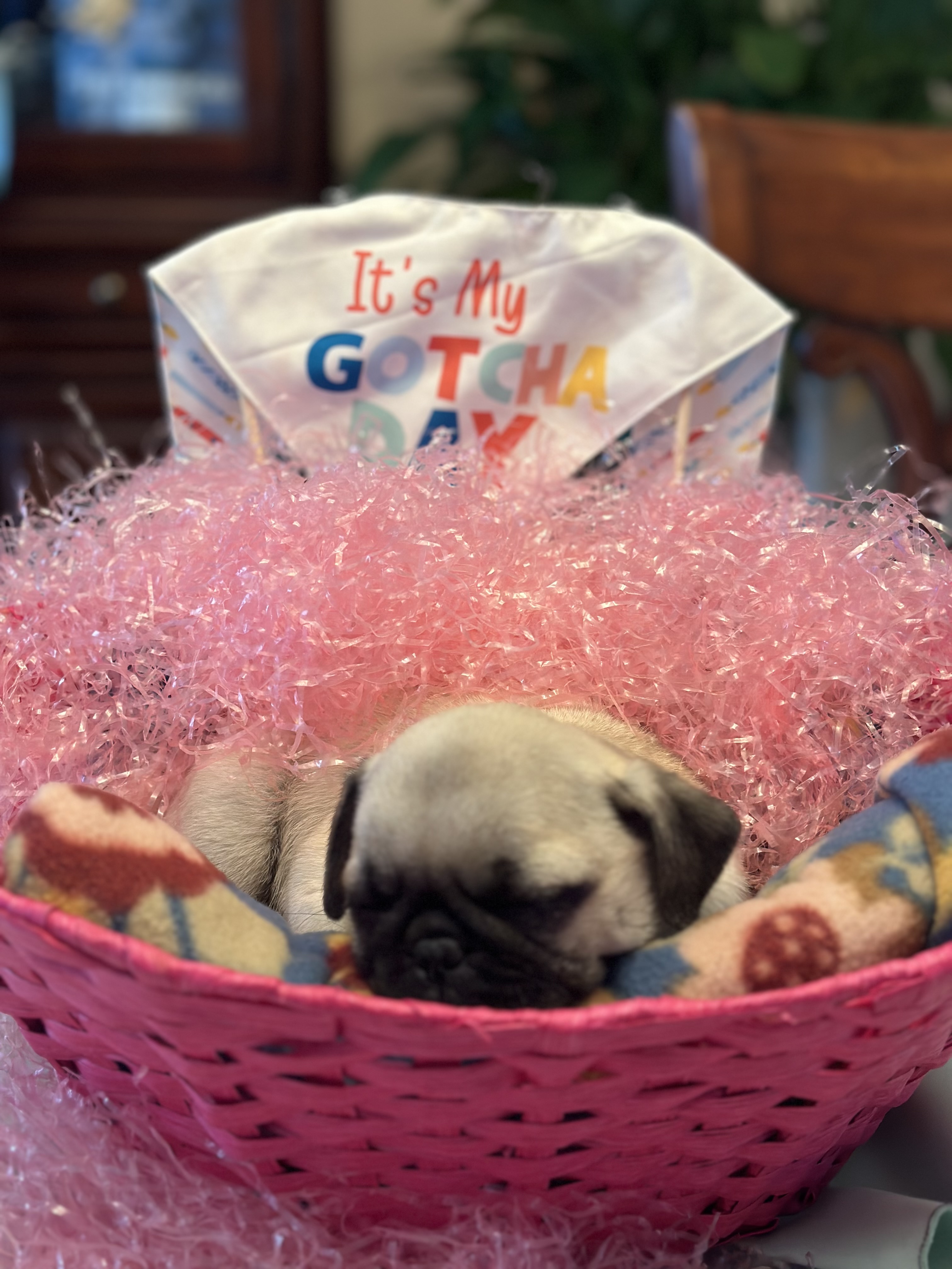 Photo Review Submission from Sandra Finnegan
