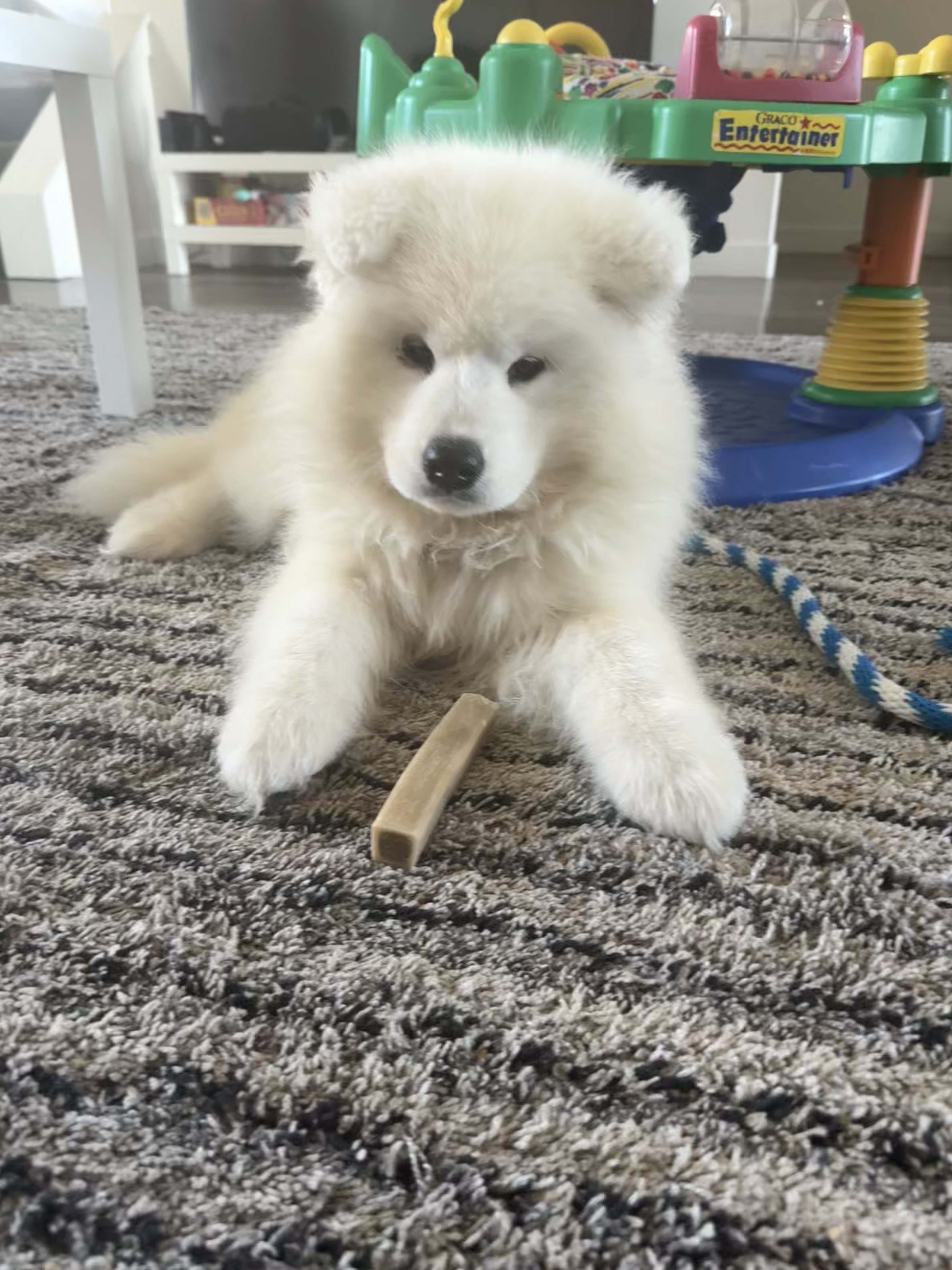 Photo Review Submission from Suzie Croxall