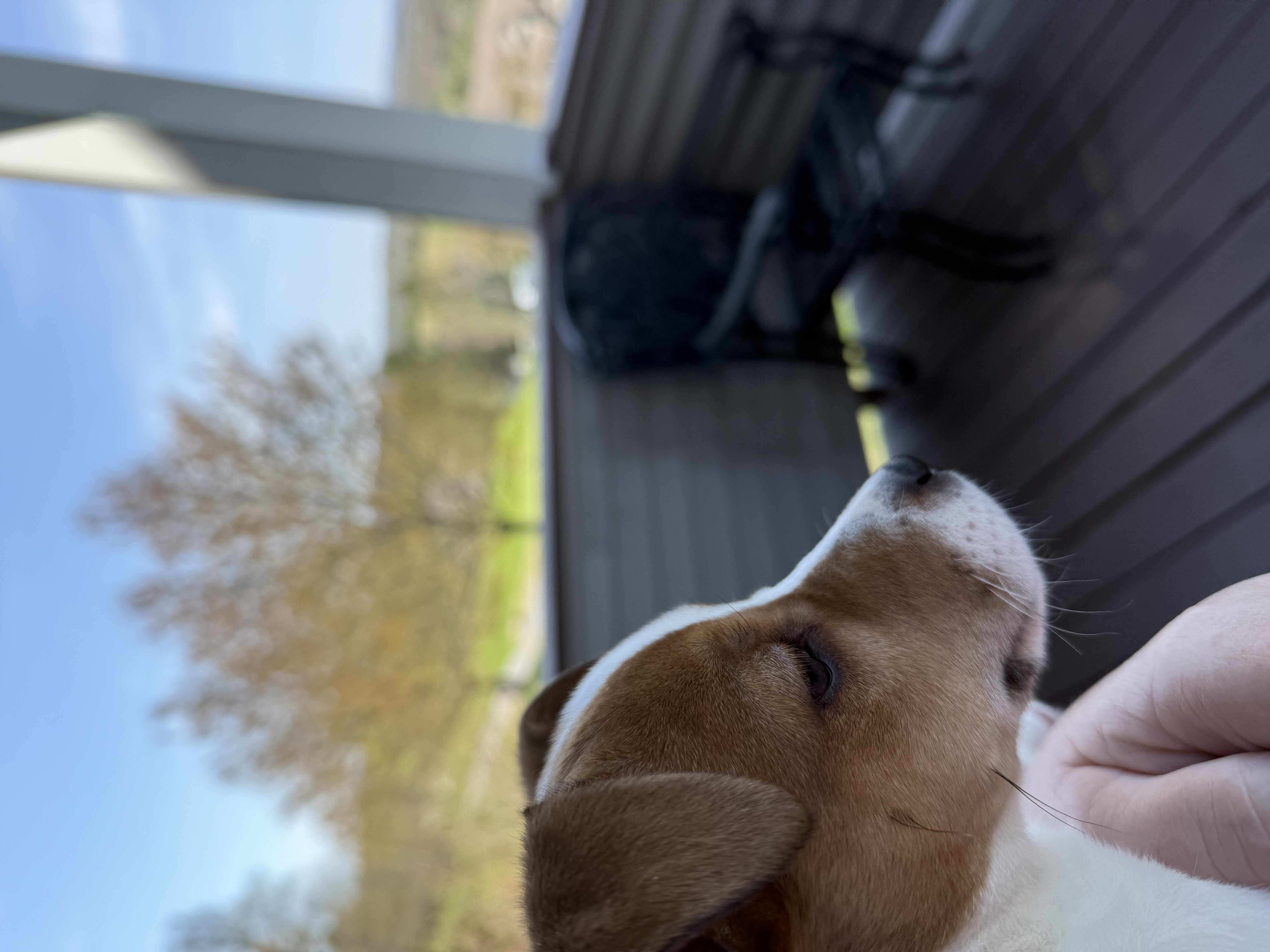 Photo Review Submission from Terri Flynn