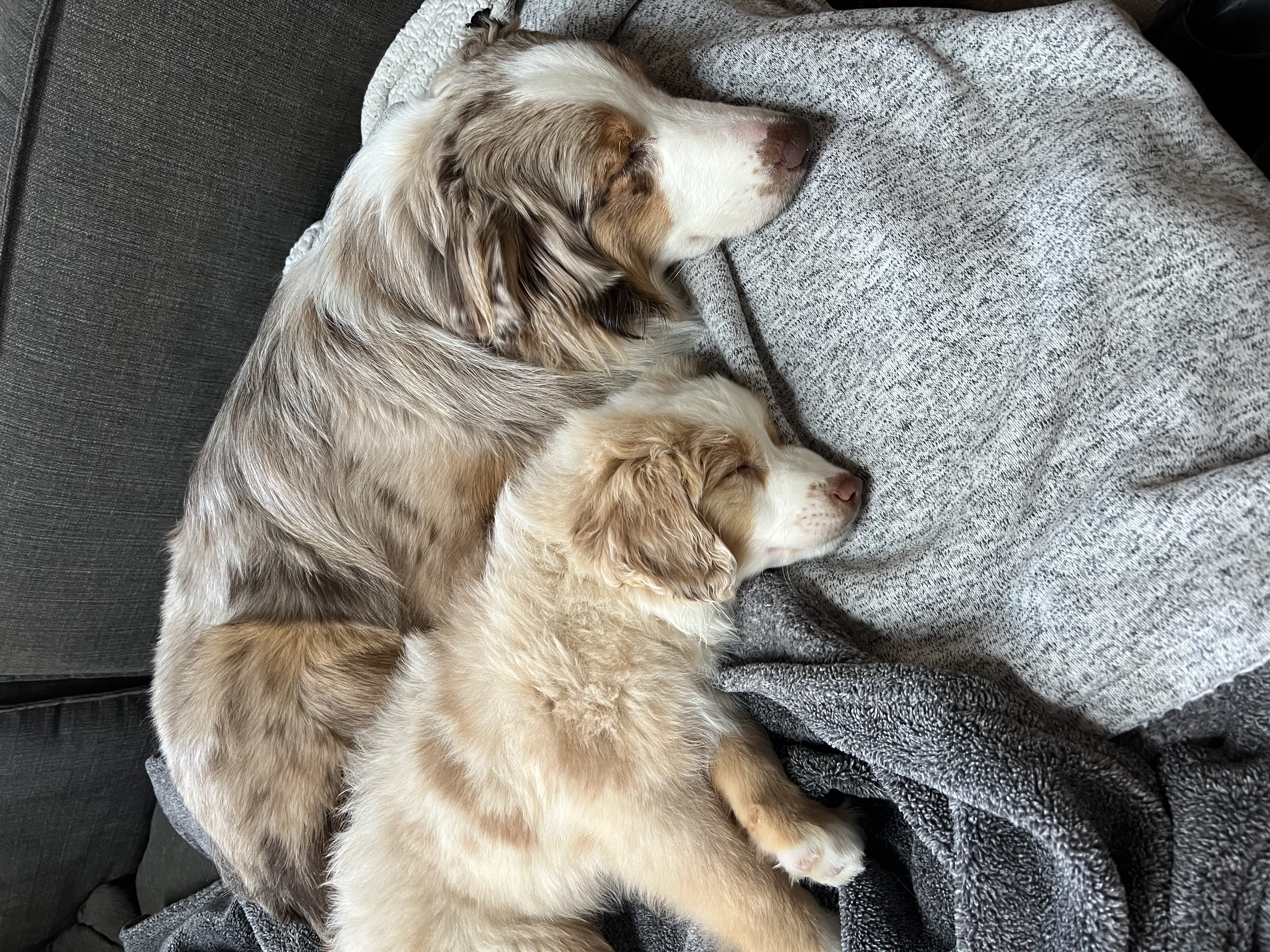 Photo Review Submission from Robyn & Erin Campbell