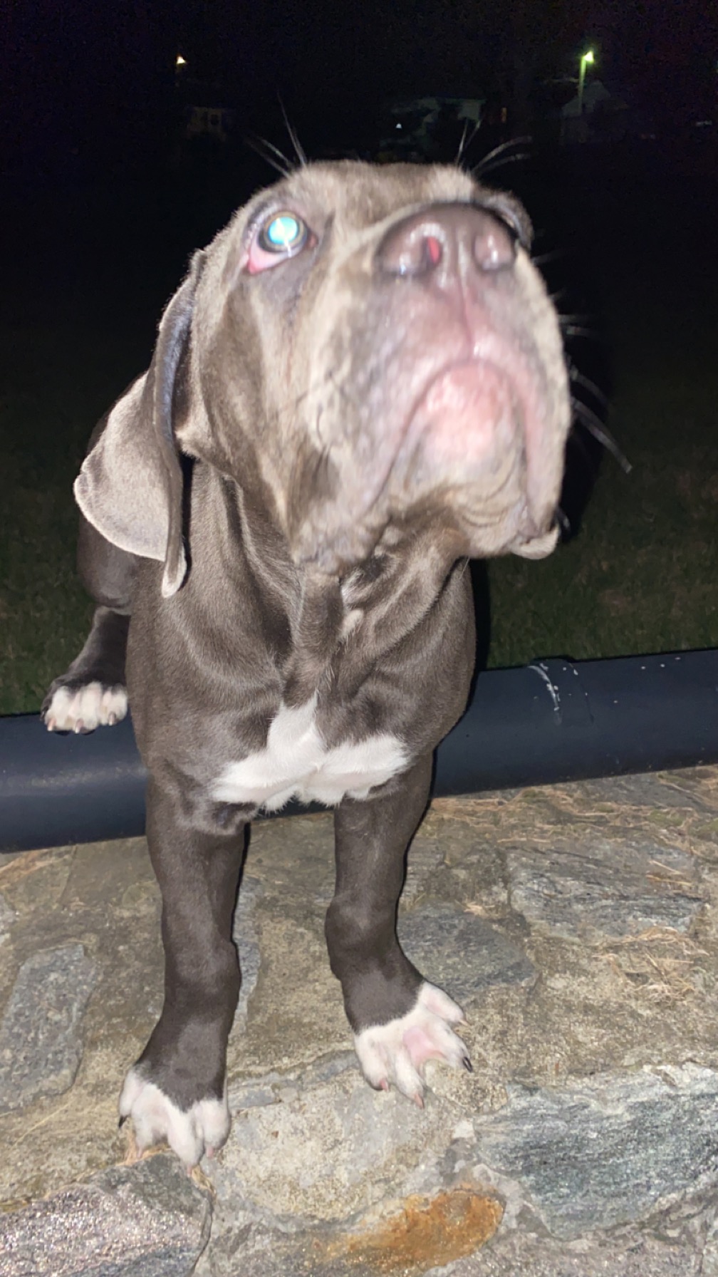 Photo Review Submission from Terrell Sanders
