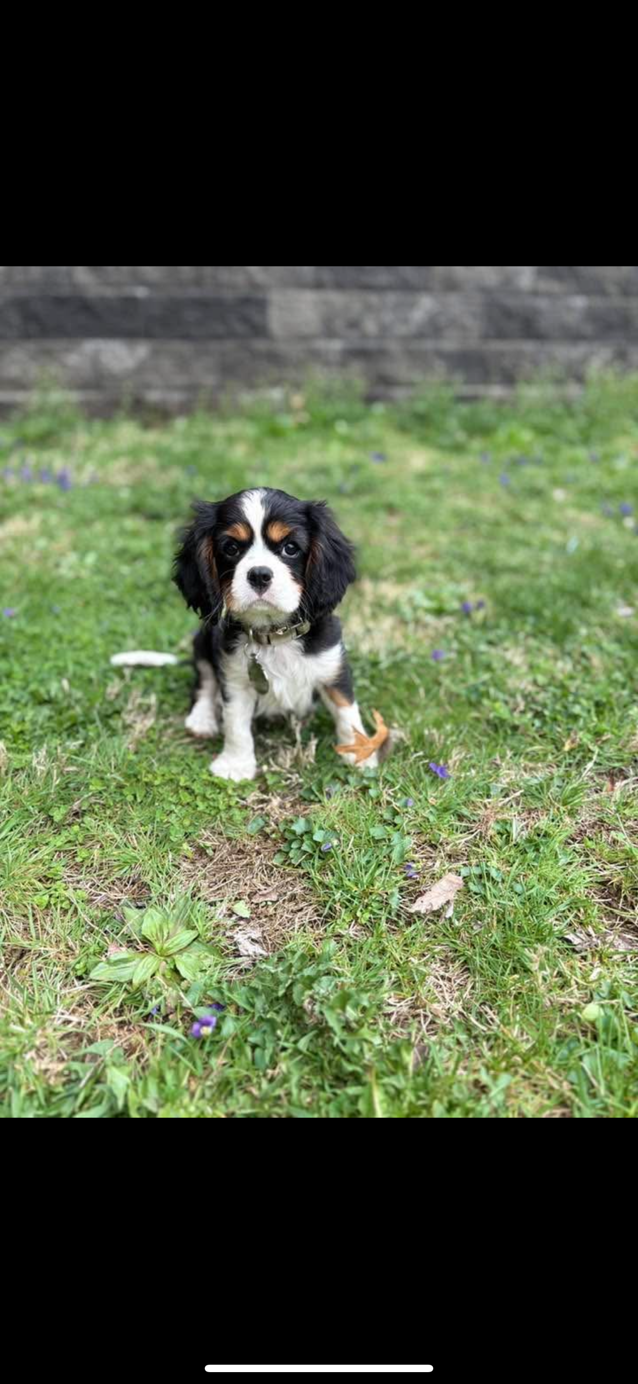 Photo Review Submission from Samantha Shumaker