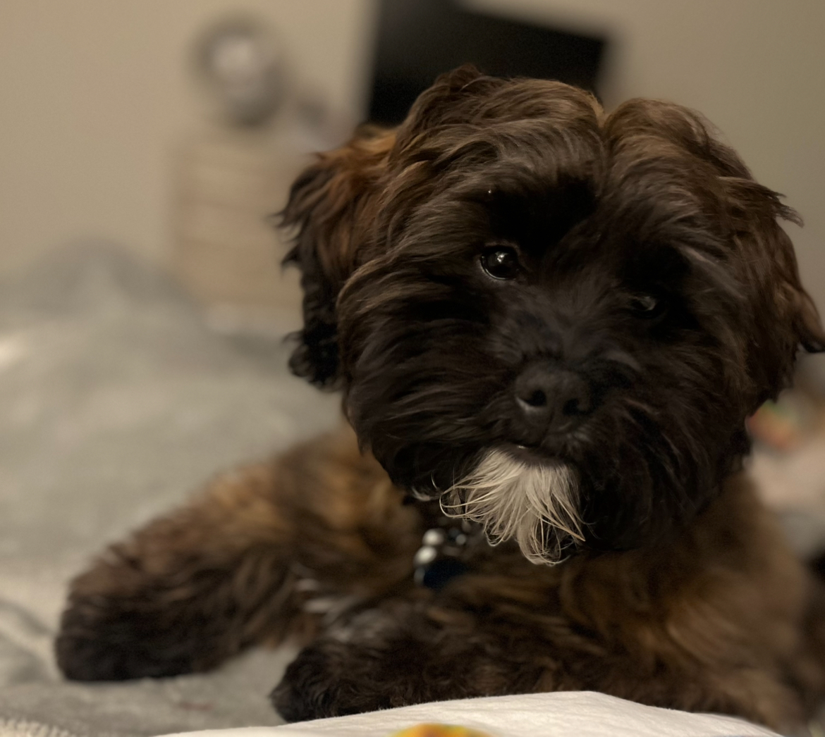 Photo Review Submission from Lisa M