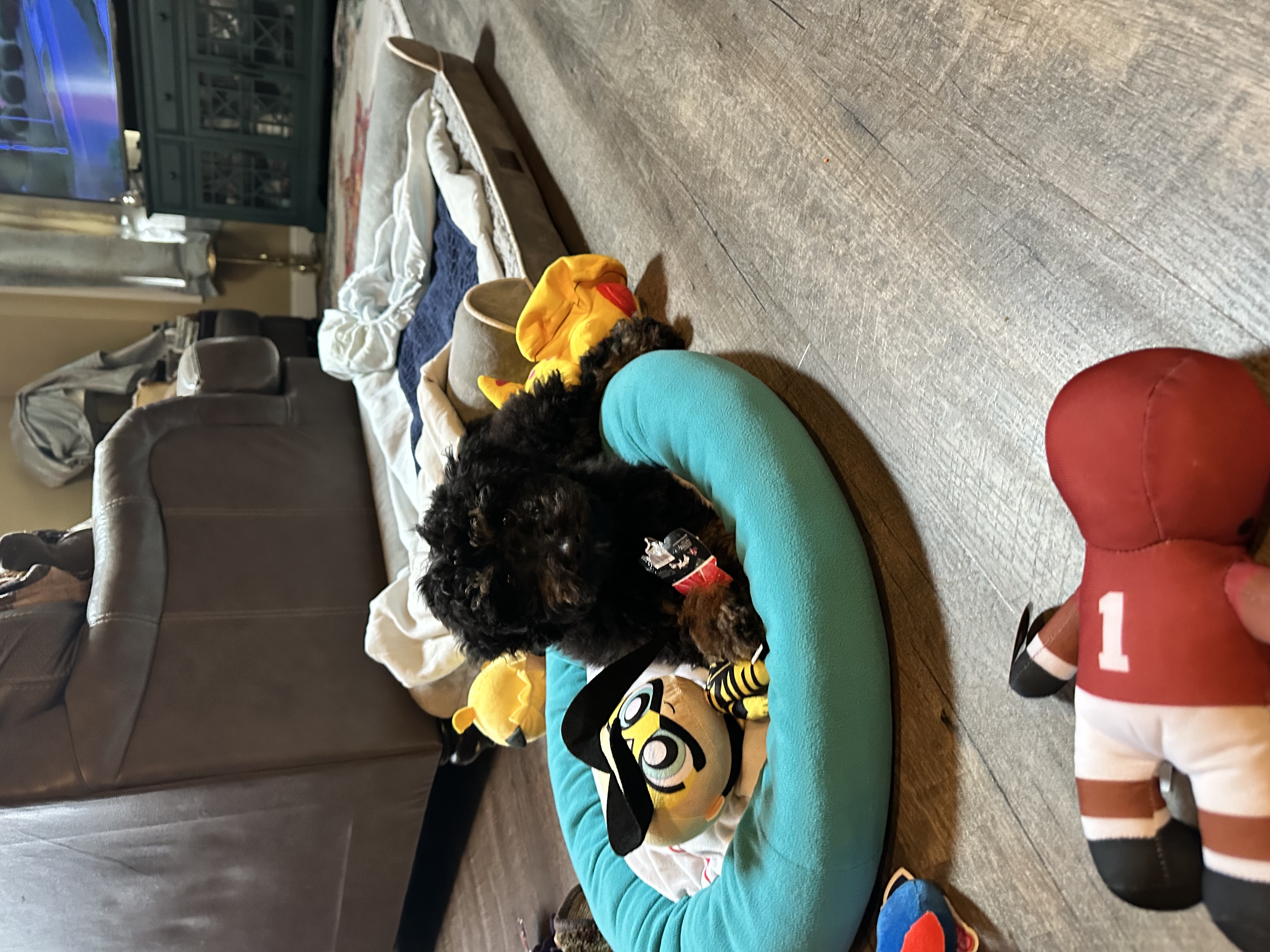 Photo Review Submission from Kia Johns