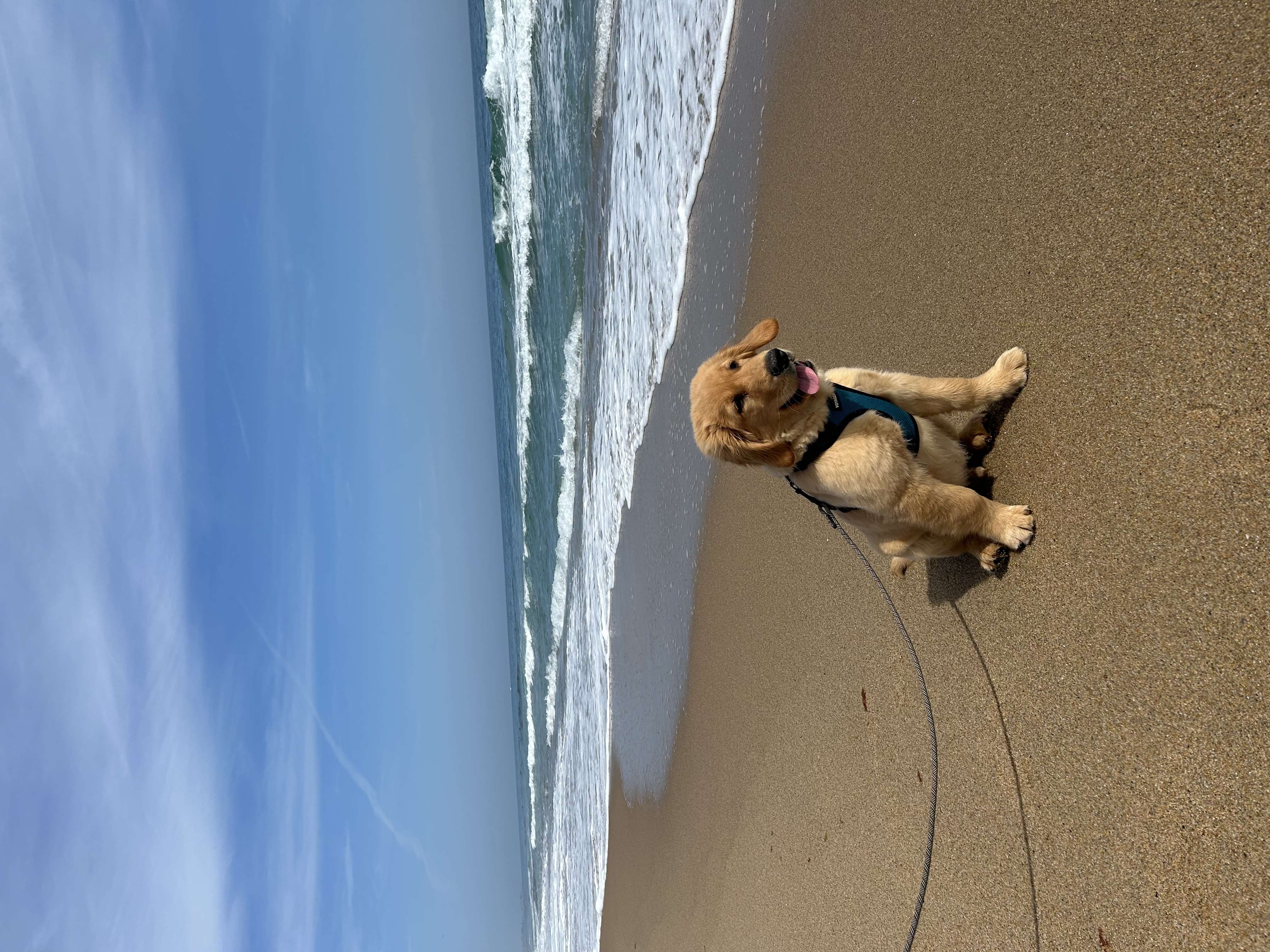 Photo Review Submission from Gayle Sorice