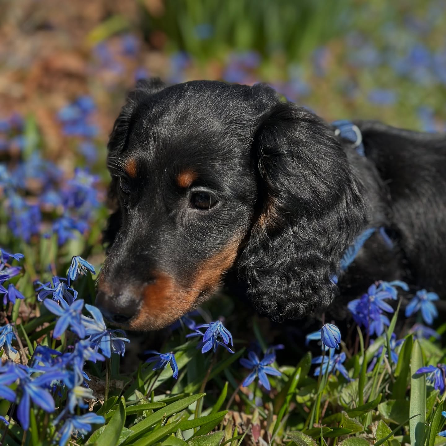 Photo Review Submission from Iryna Faulk