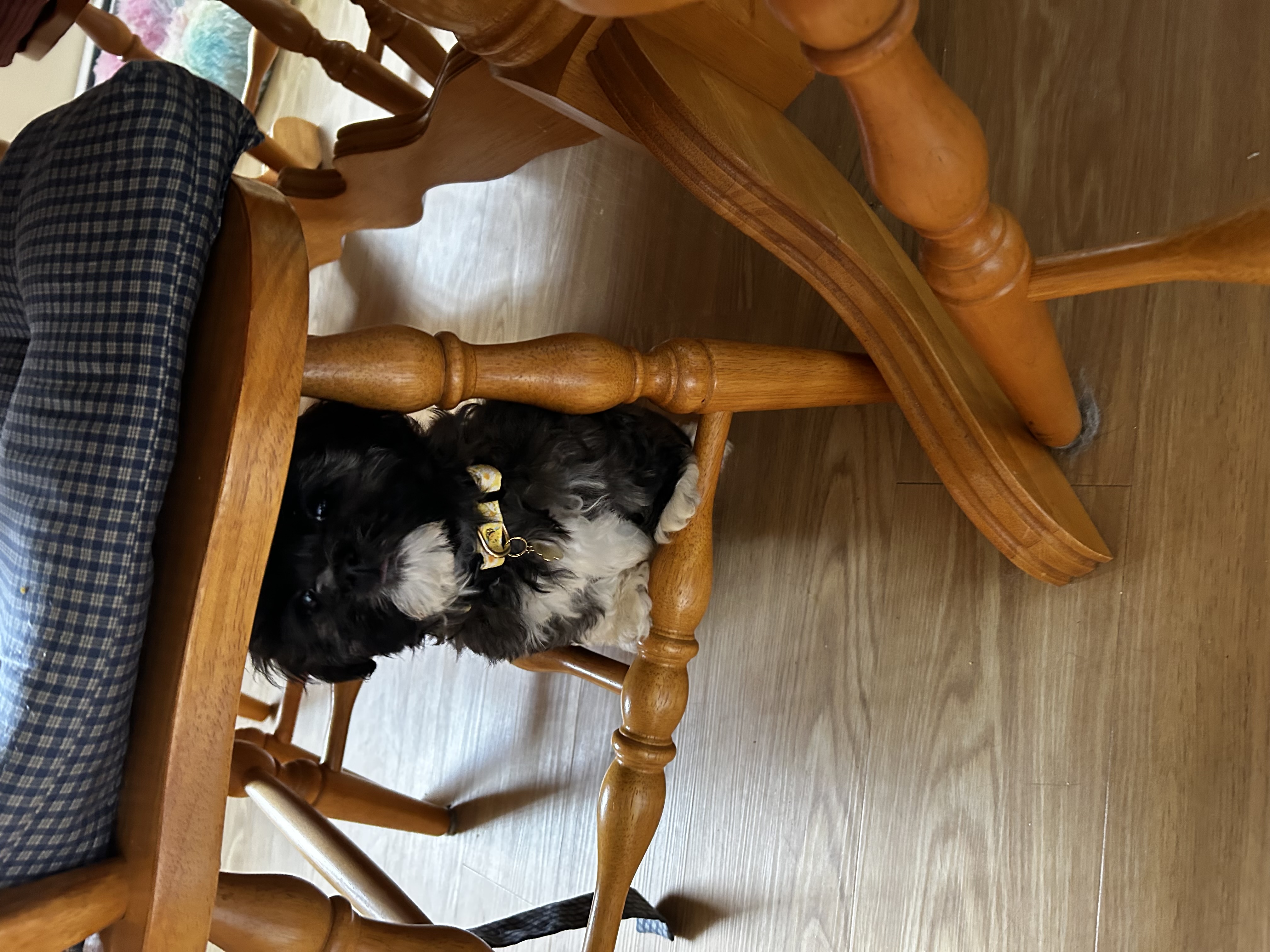 Photo Review Submission from Mary Anderson